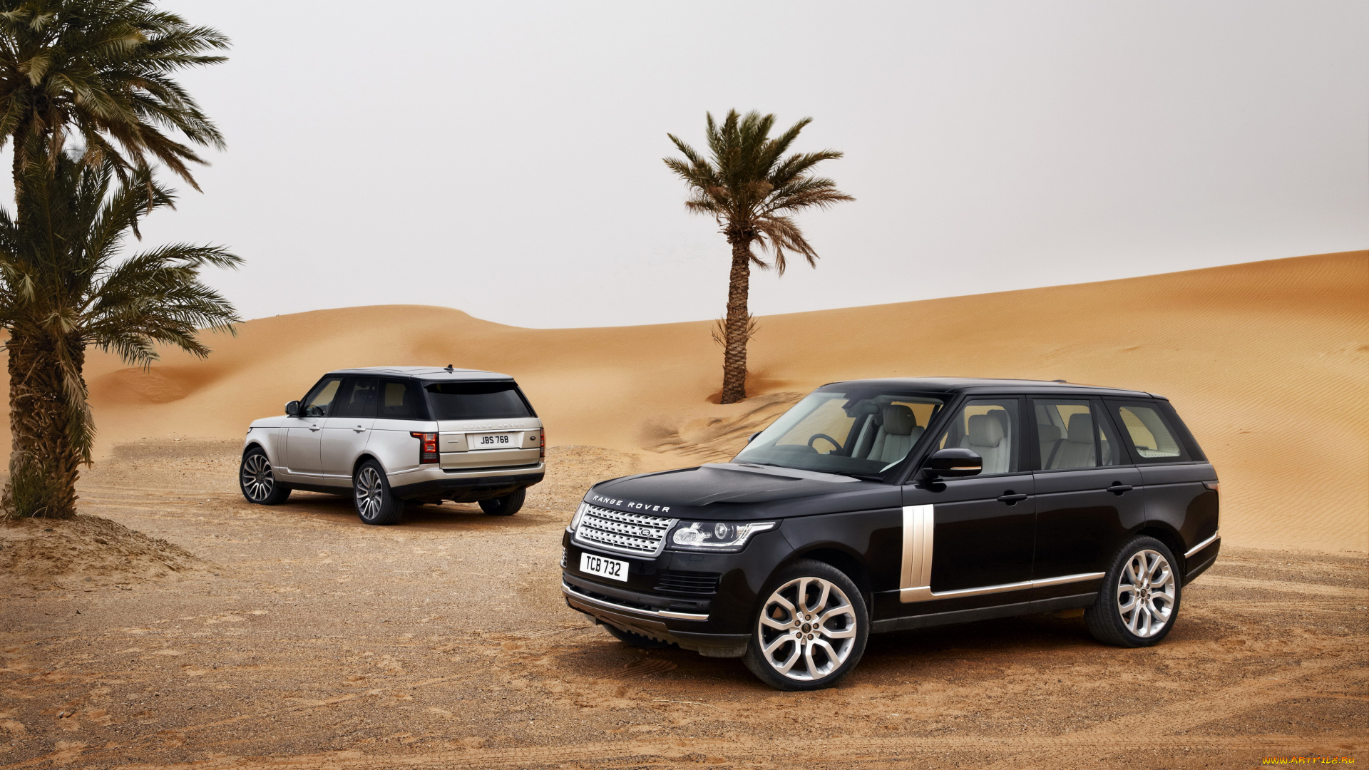 2013, land, rover, range, rover, автомобили, land-rover, белый, range, rover, land, пустыня, черный
