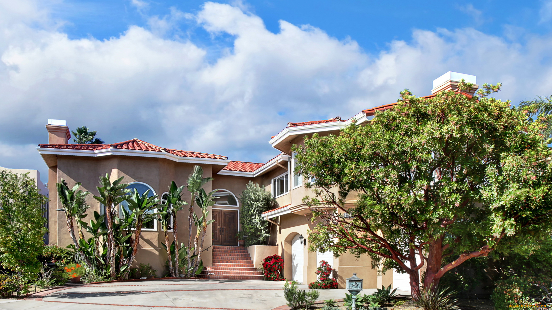 города, -, здания, , дома, ландшафт, дом, кусты, деревья