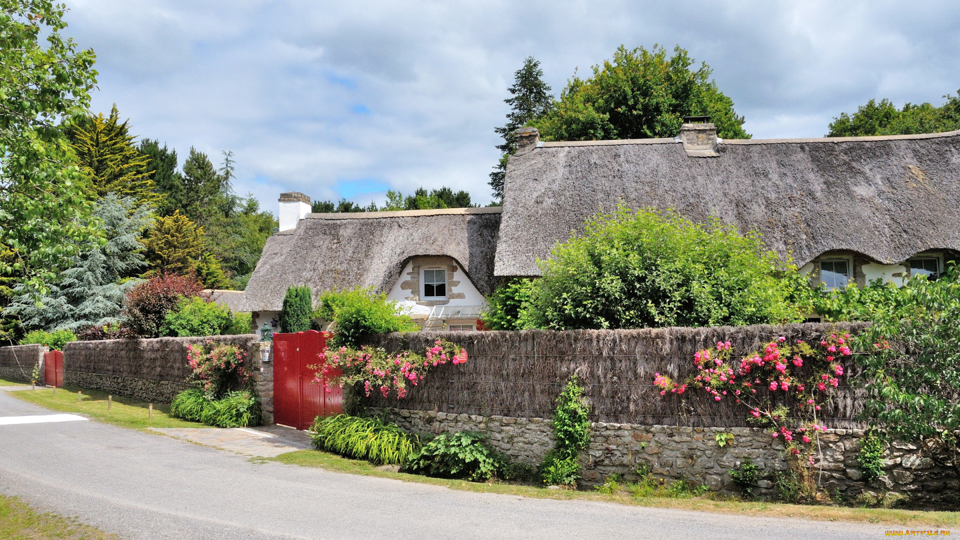 сен-лифар, франция, города, -, улицы, , площади, , набережные, франция, сен-лифар, цветы, забор, кусты, улица, дома