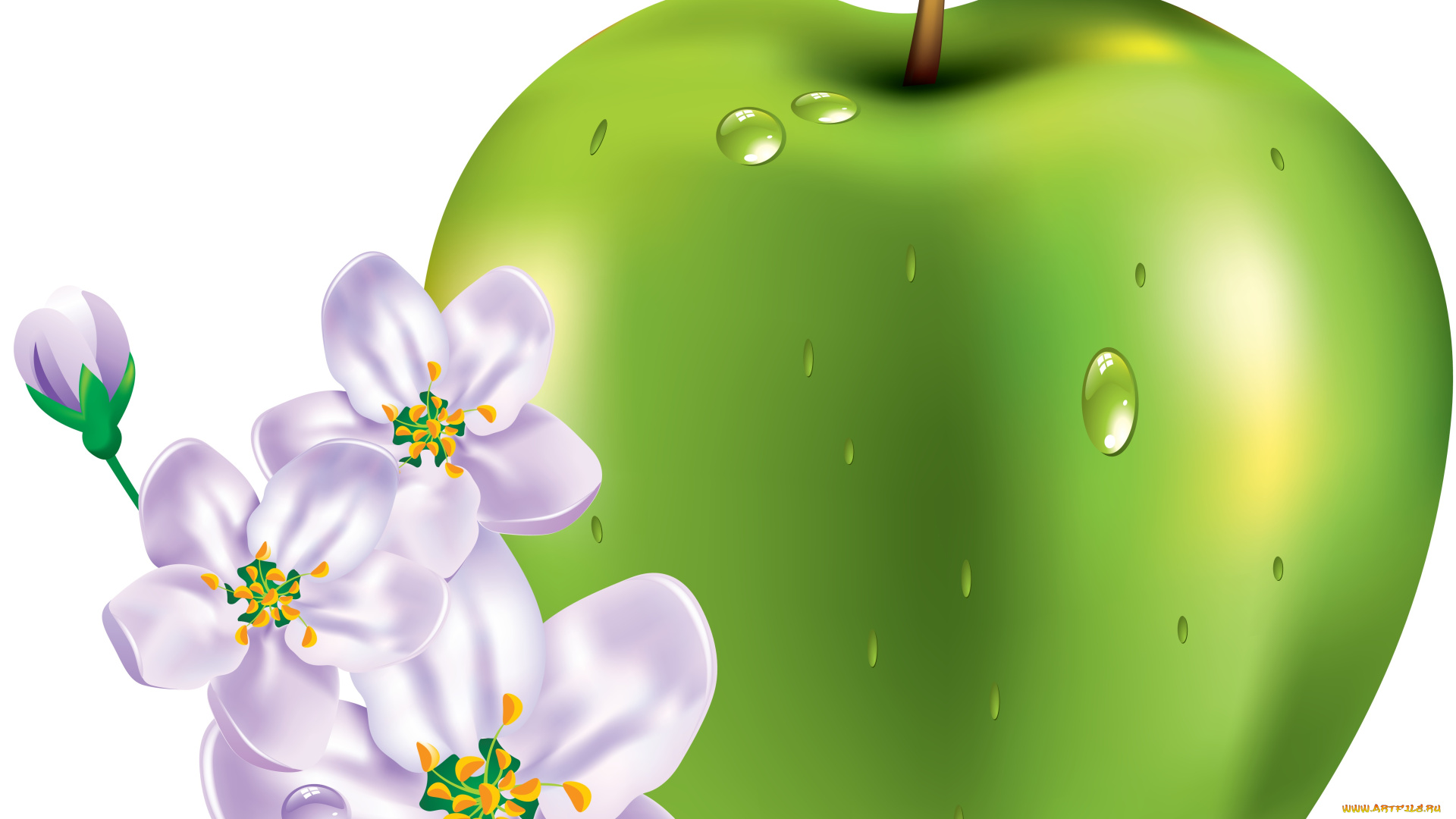 векторная, графика, еда, яблоко, цветы