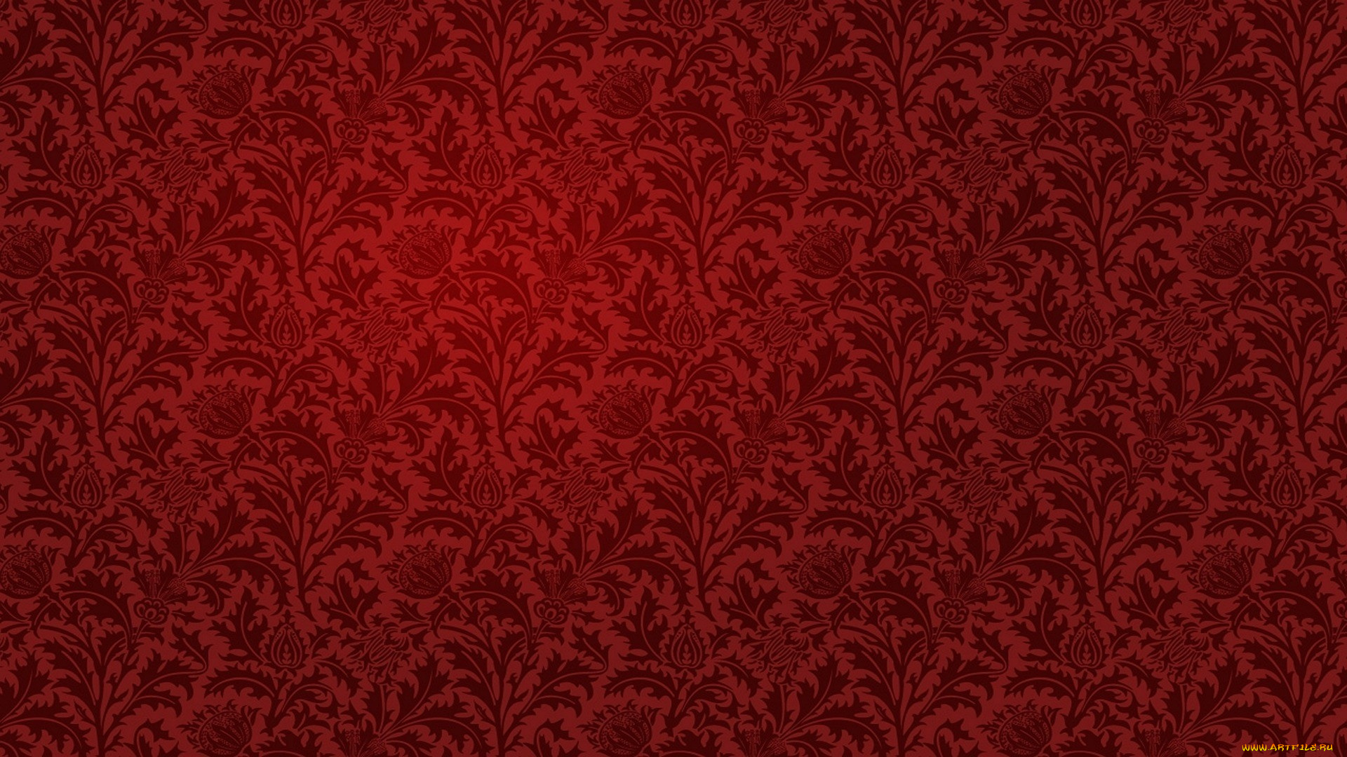 векторная, графика, графика, красный, узор, цветы