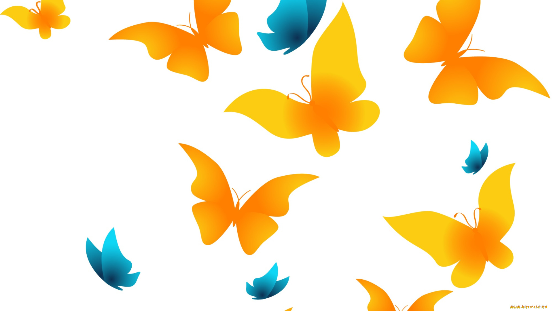 векторная, графика, животные, фон, бабочки