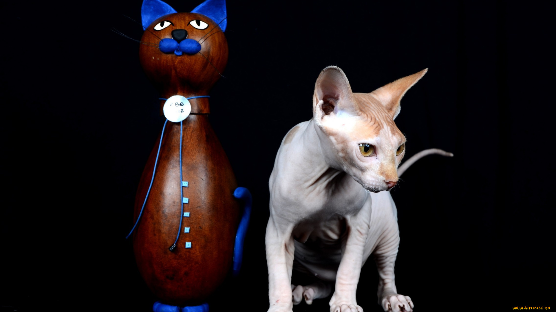 животные, коты, киса, статуэтка, kitty, statuette