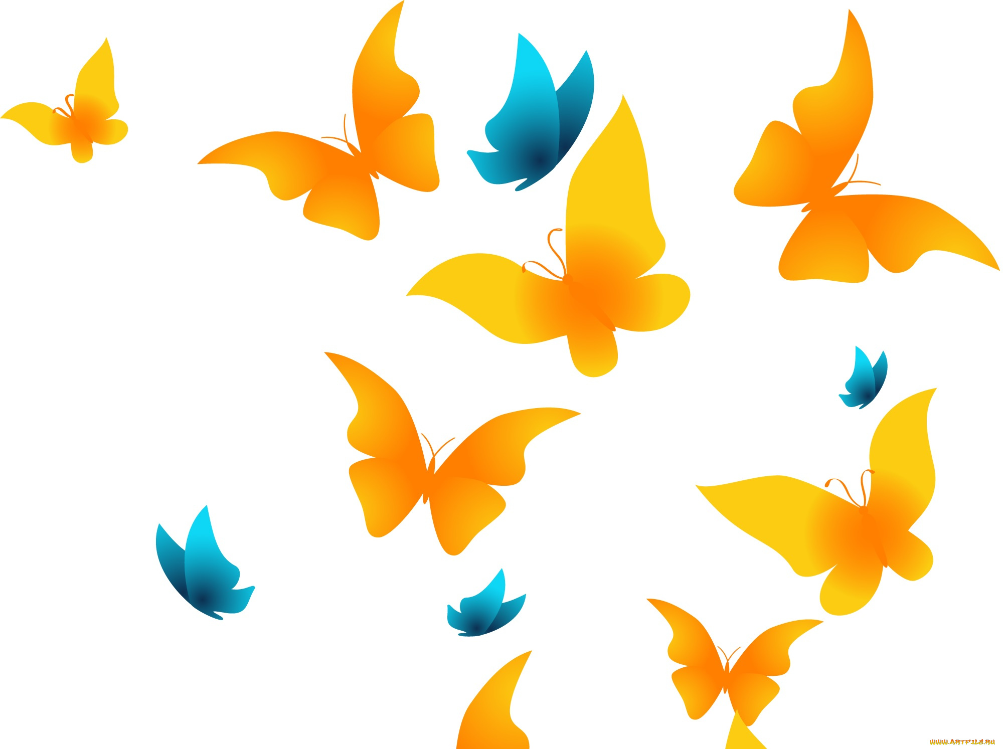 векторная, графика, животные, фон, бабочки