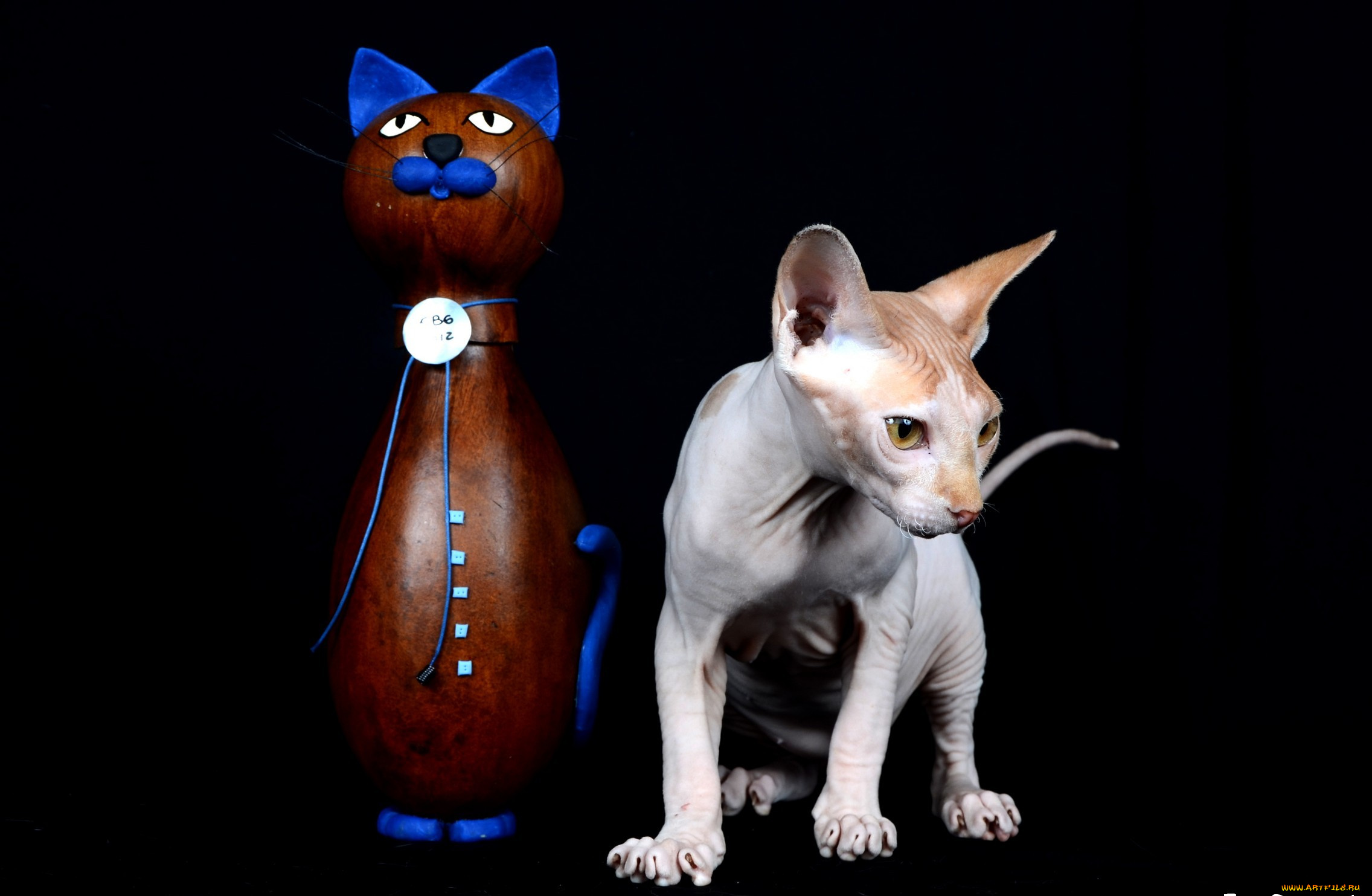 животные, коты, киса, статуэтка, kitty, statuette