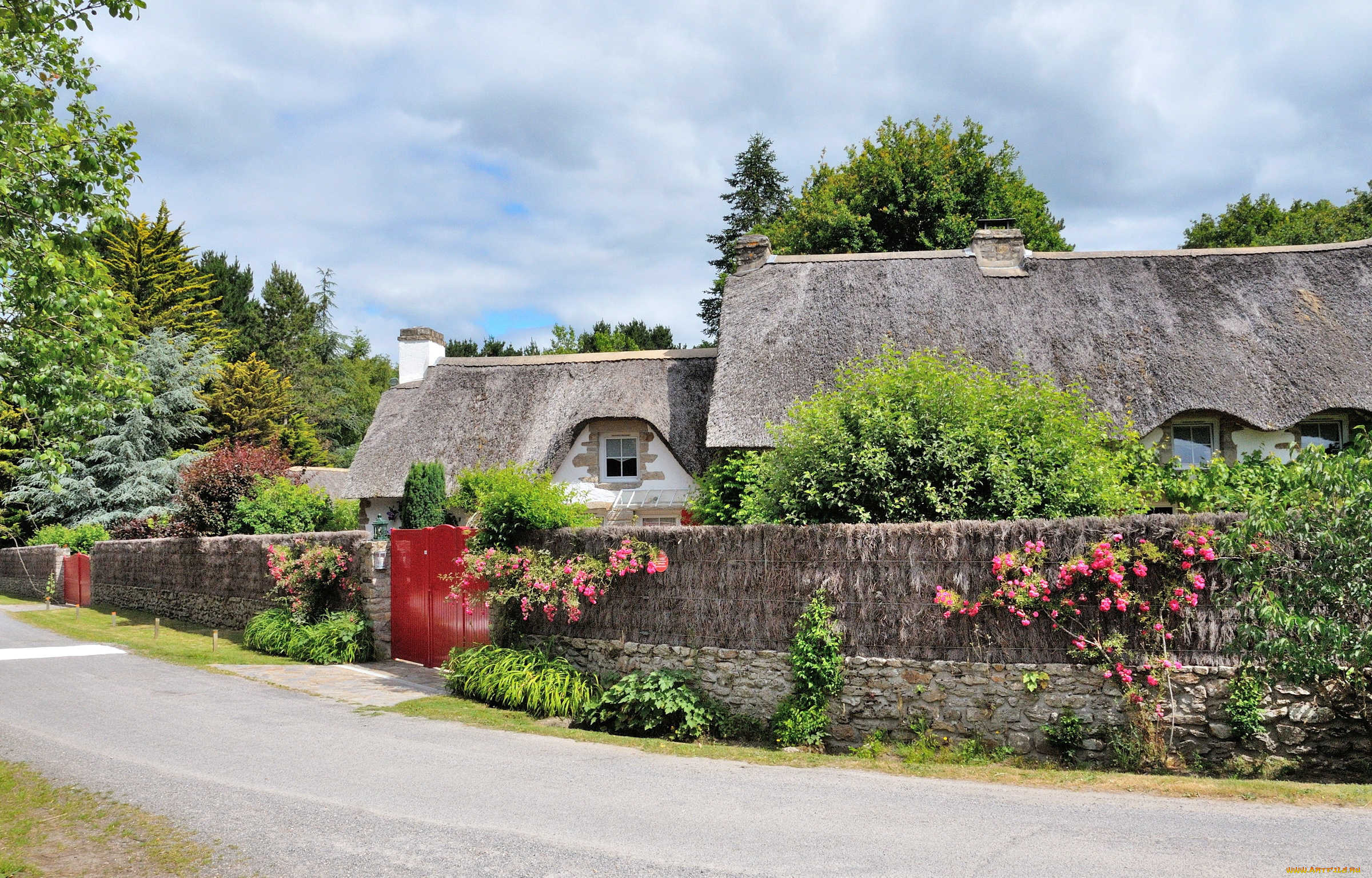 сен-лифар, франция, города, -, улицы, , площади, , набережные, франция, сен-лифар, цветы, забор, кусты, улица, дома