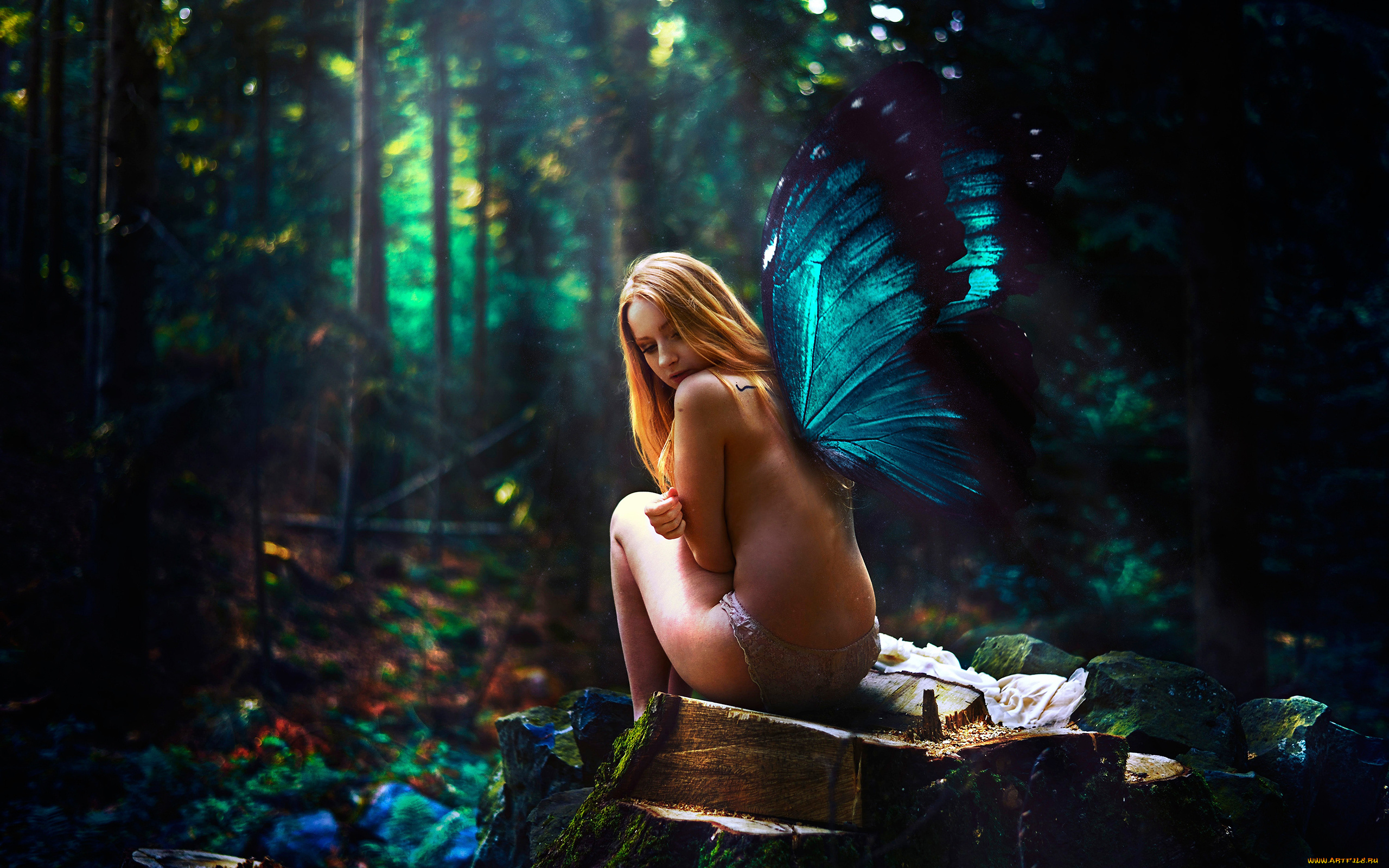 фэнтези, фотоарт, крылья