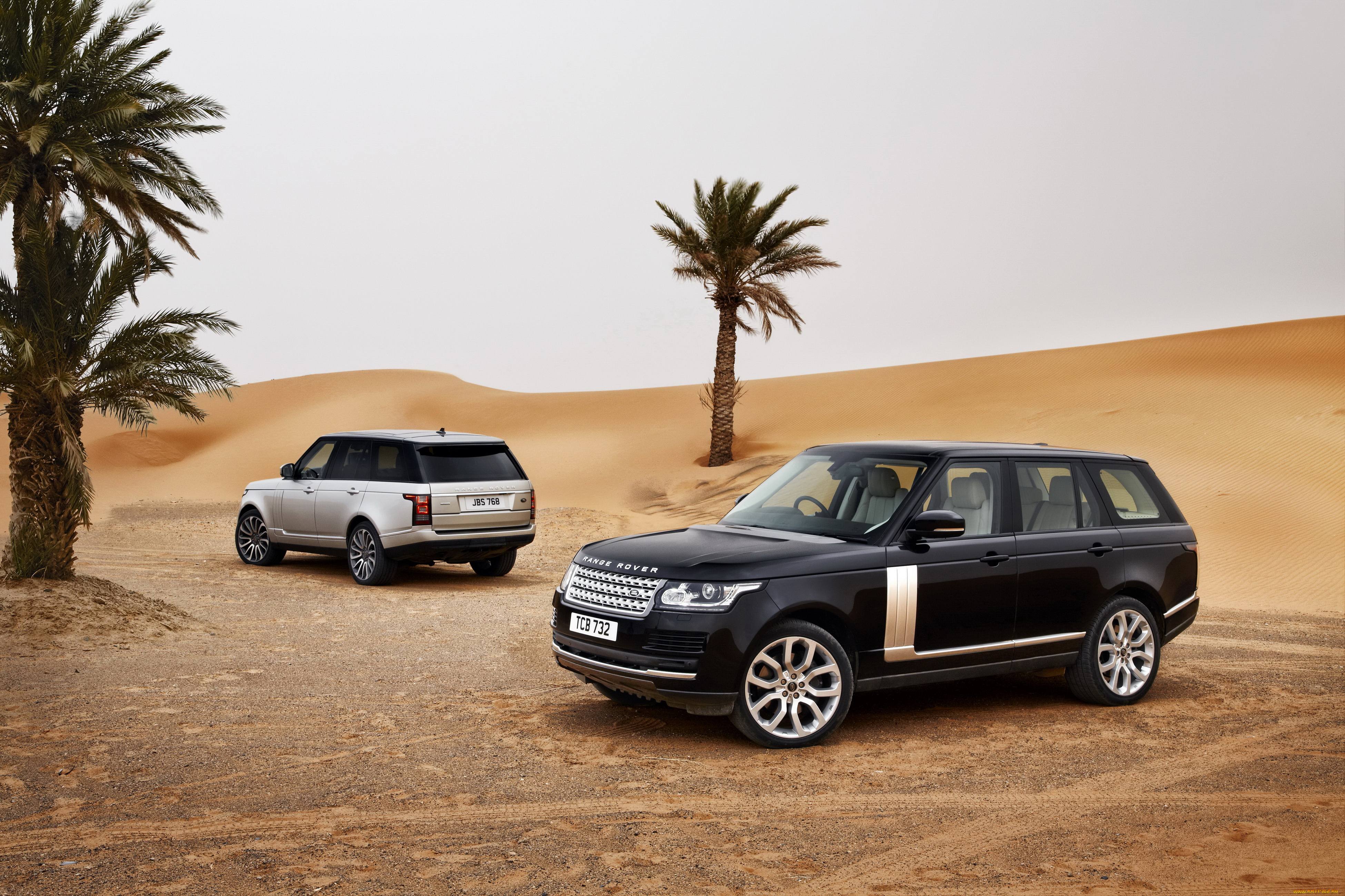 2013, land, rover, range, rover, автомобили, land-rover, белый, range, rover, land, пустыня, черный