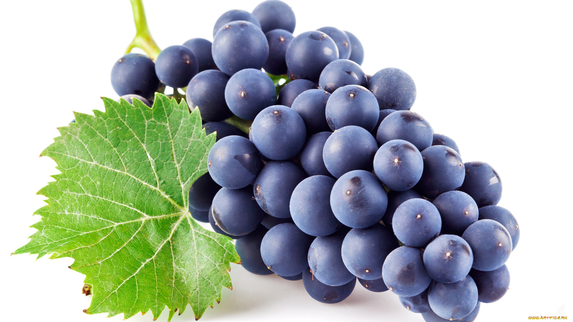 еда, виноград, ягоды