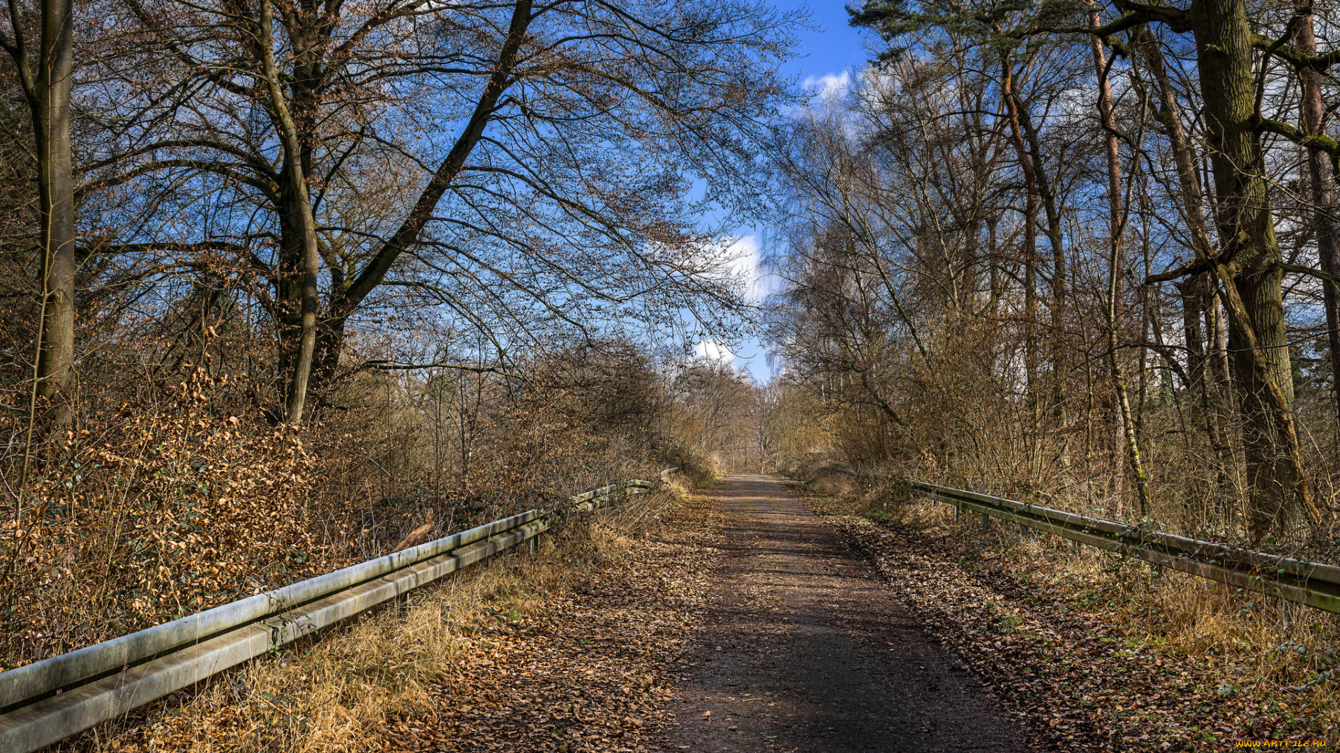 природа, дороги, осень, лес, тракт