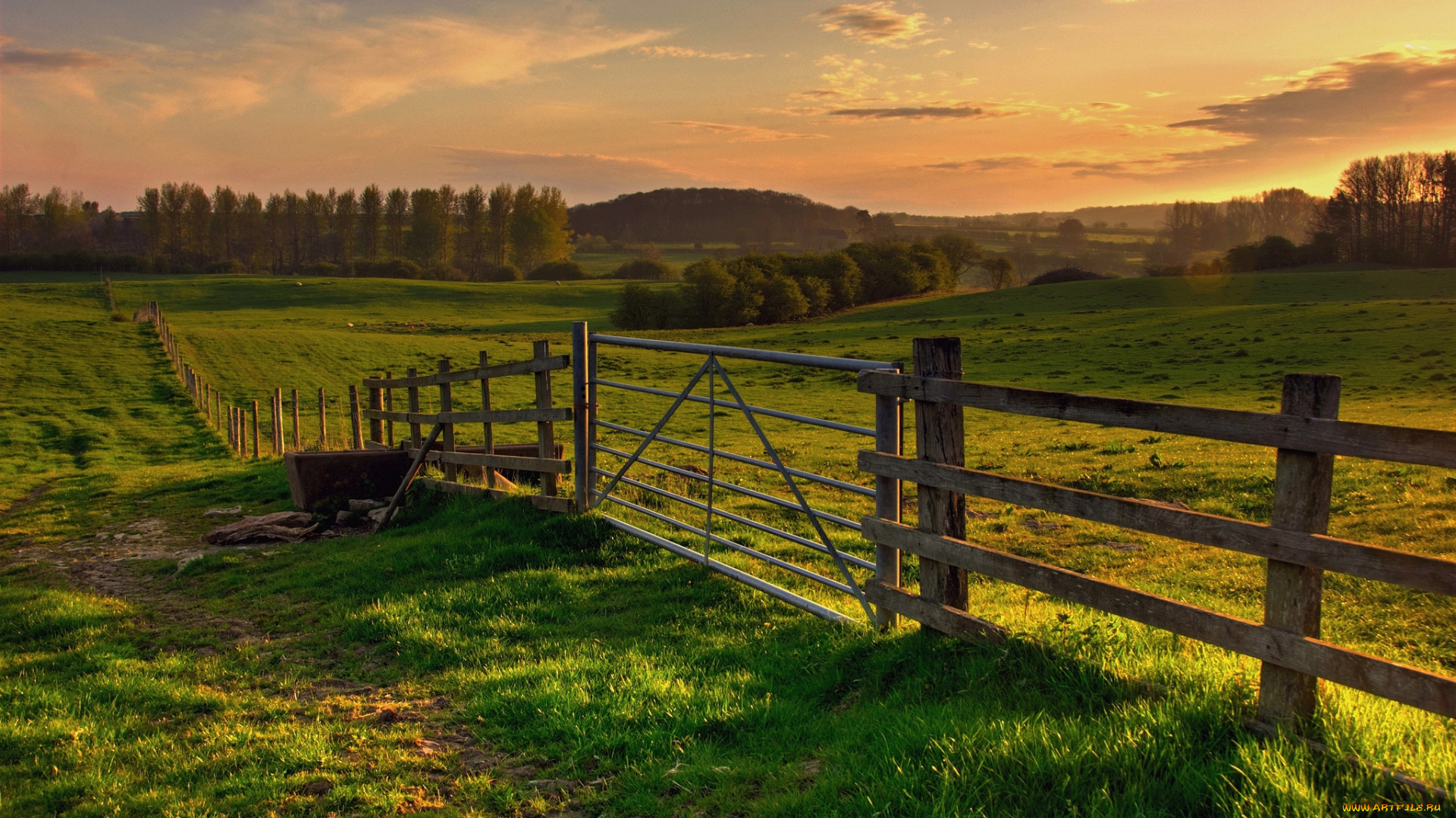природа, дороги, поле, изгородь, тропинка