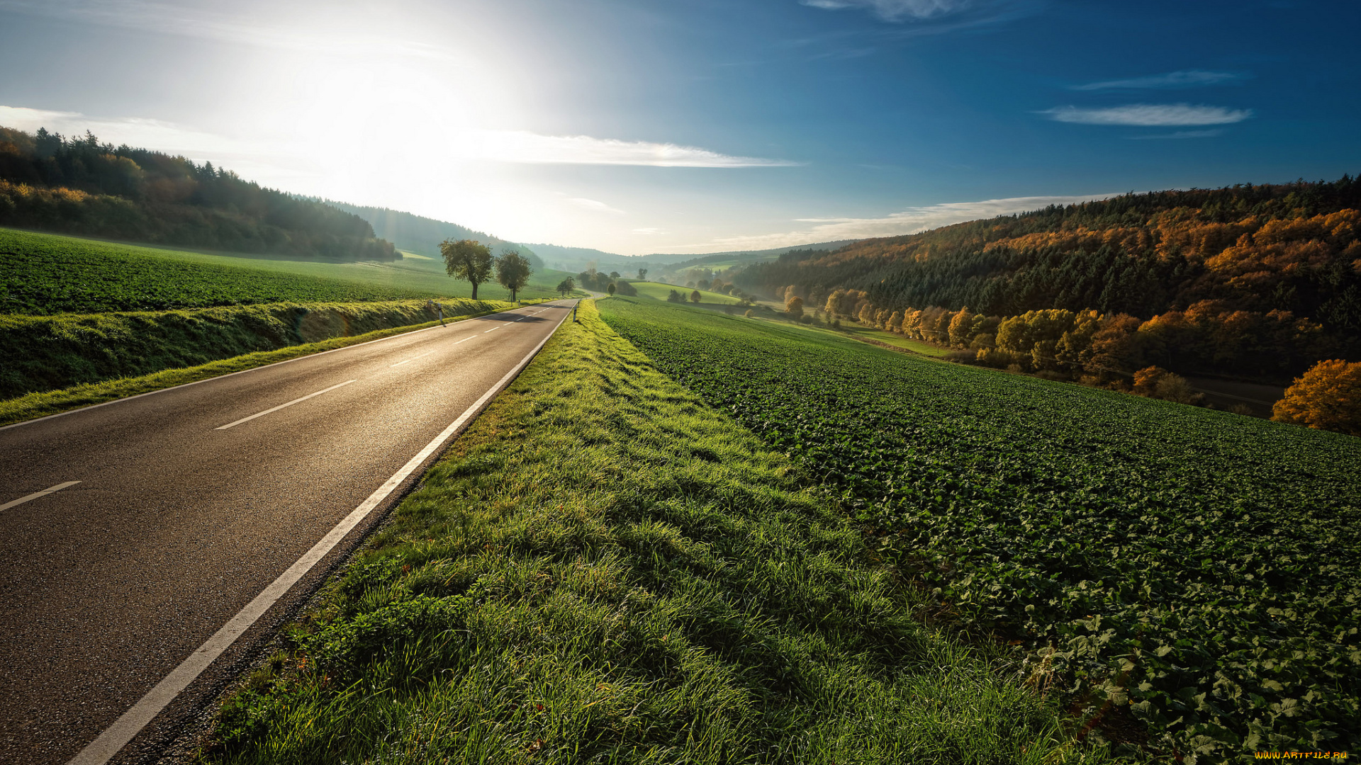природа, дороги, шоссе