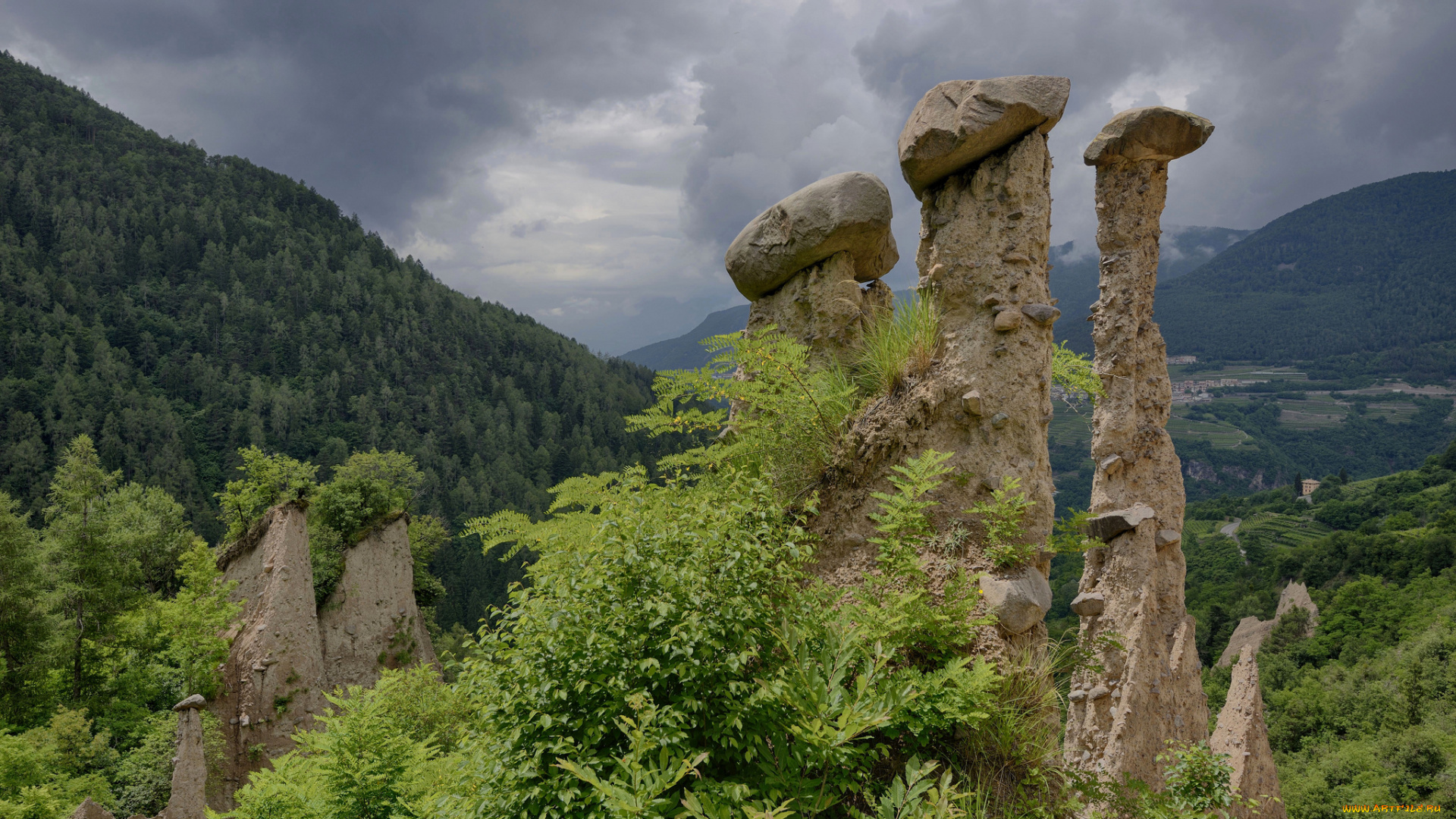 природа, горы, скалы, лес