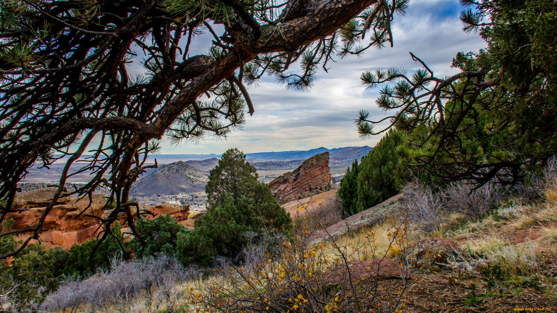 природа, горы, склон, деревья