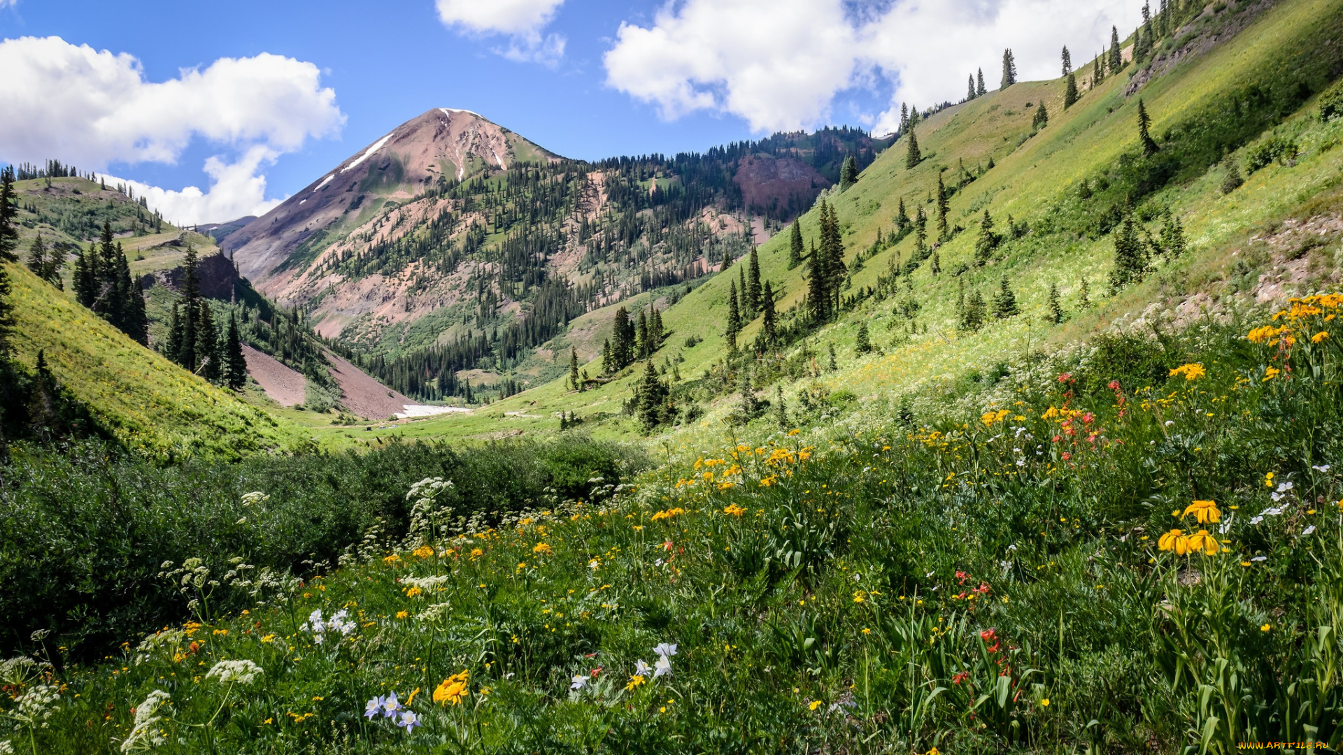 природа, луга, горы, лес, цветы, трава