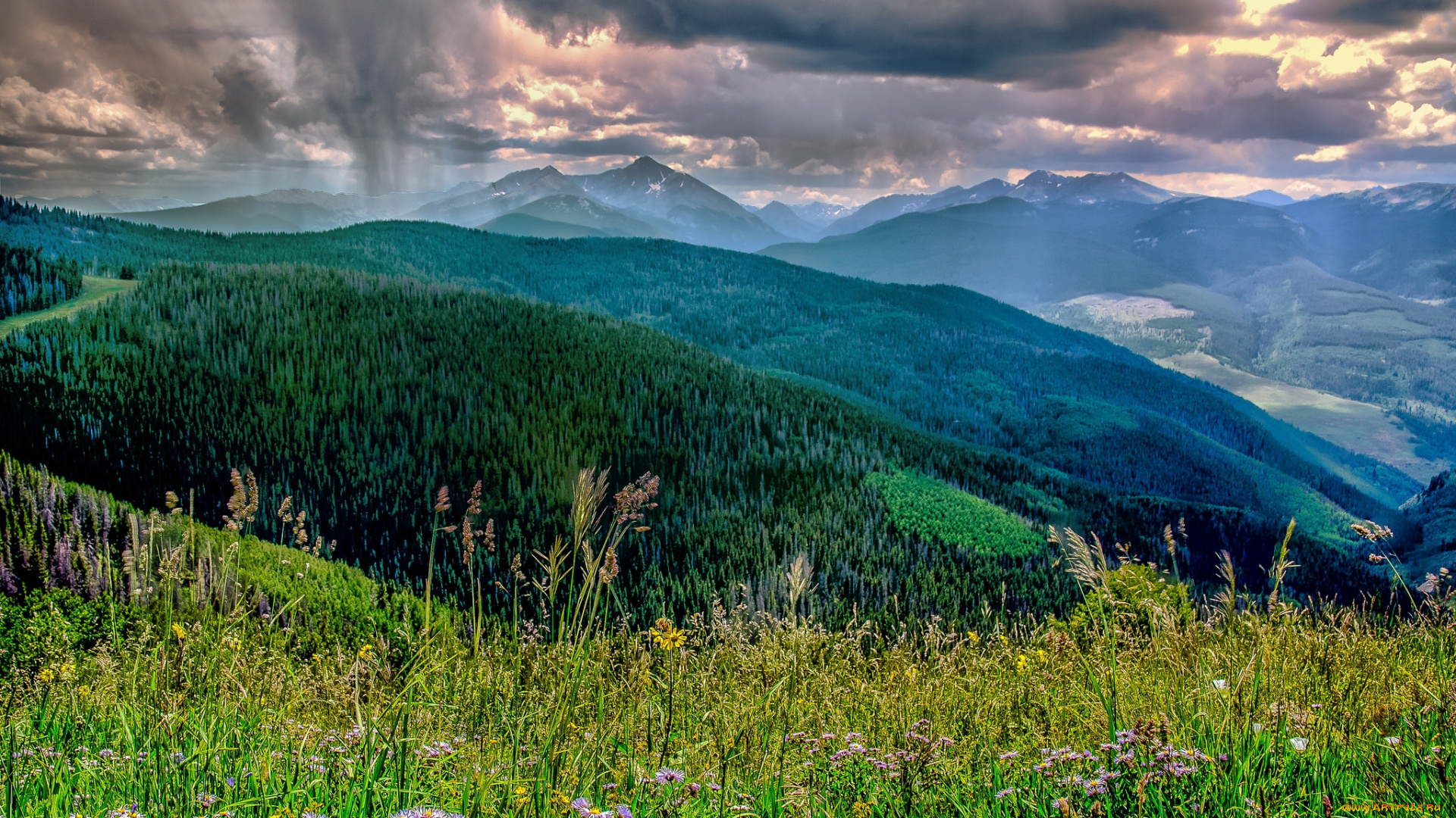 природа, луга, трава, лес, горы, цветы