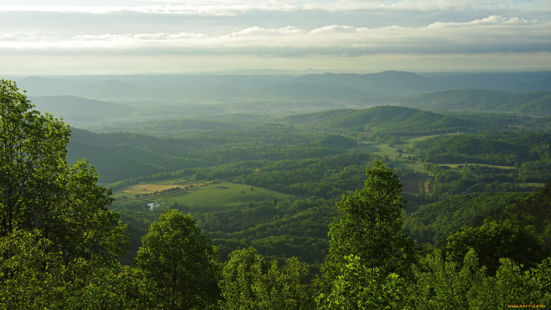 природа, пейзажи, сша, blue, ridge, parkway, горы, леса, поля, панорама