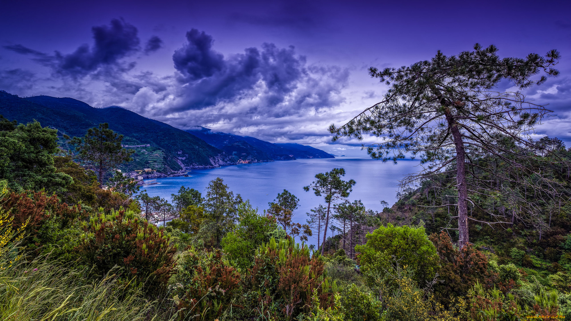 природа, побережье, панорама, бухта