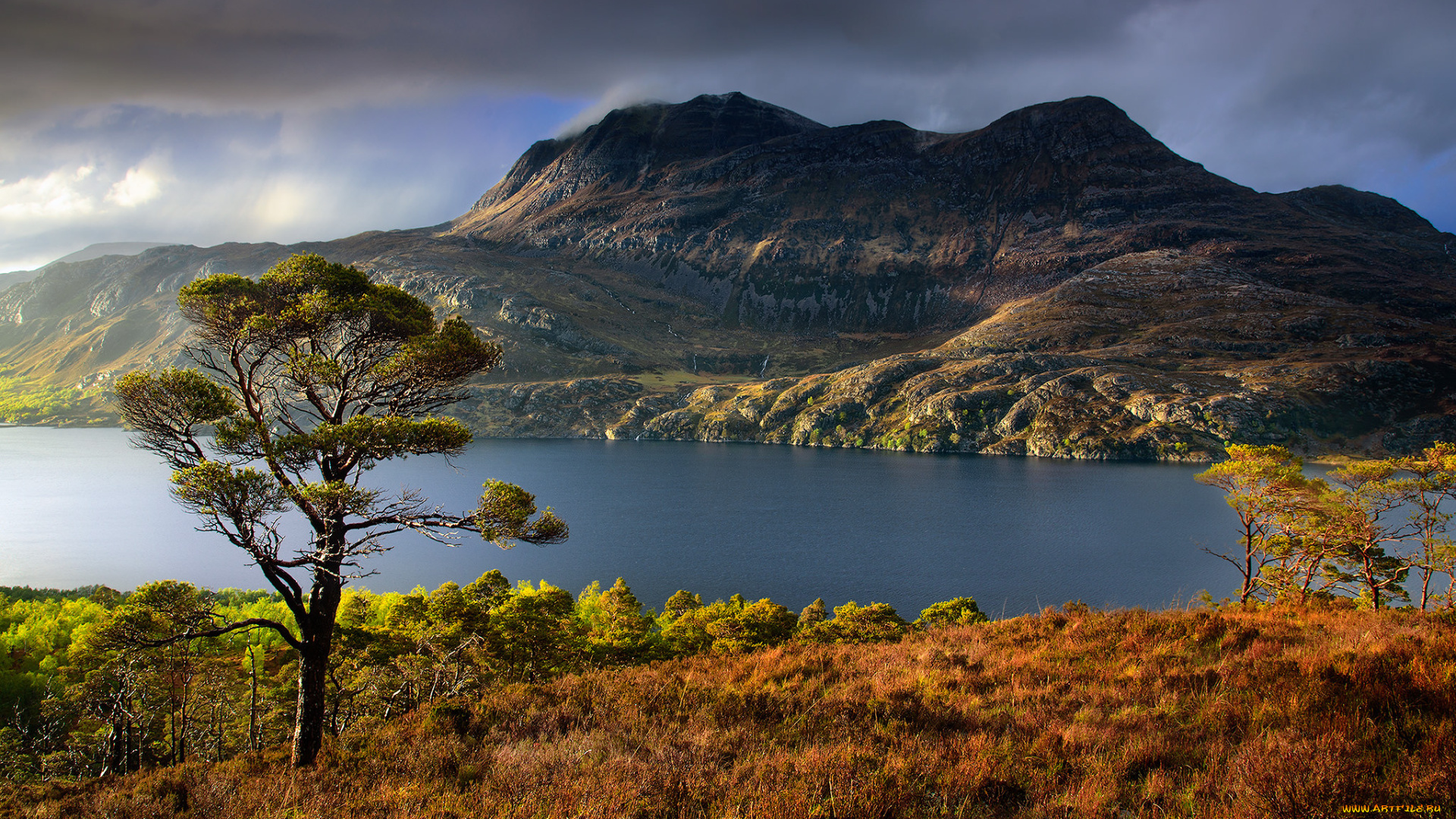 природа, побережье, залив