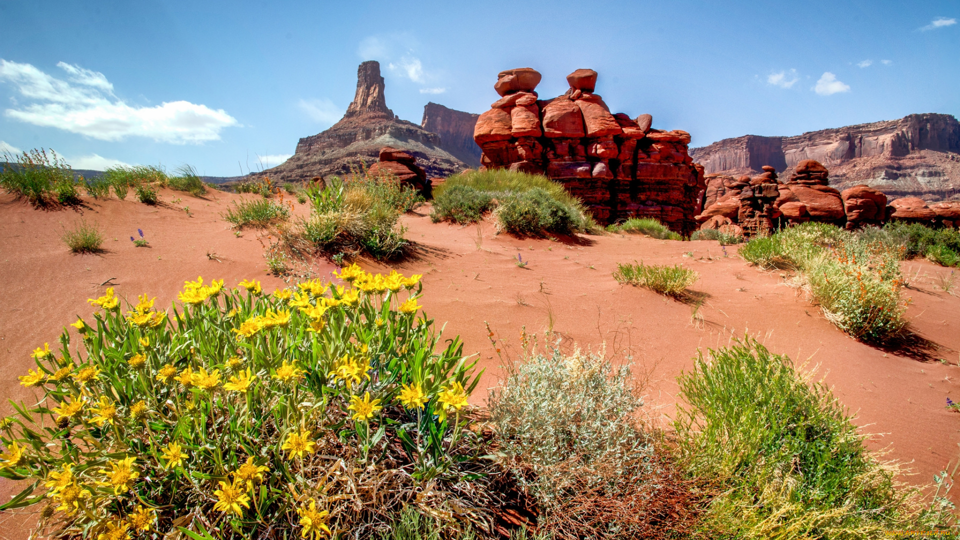 природа, пустыни, растительность, скалы, равнина