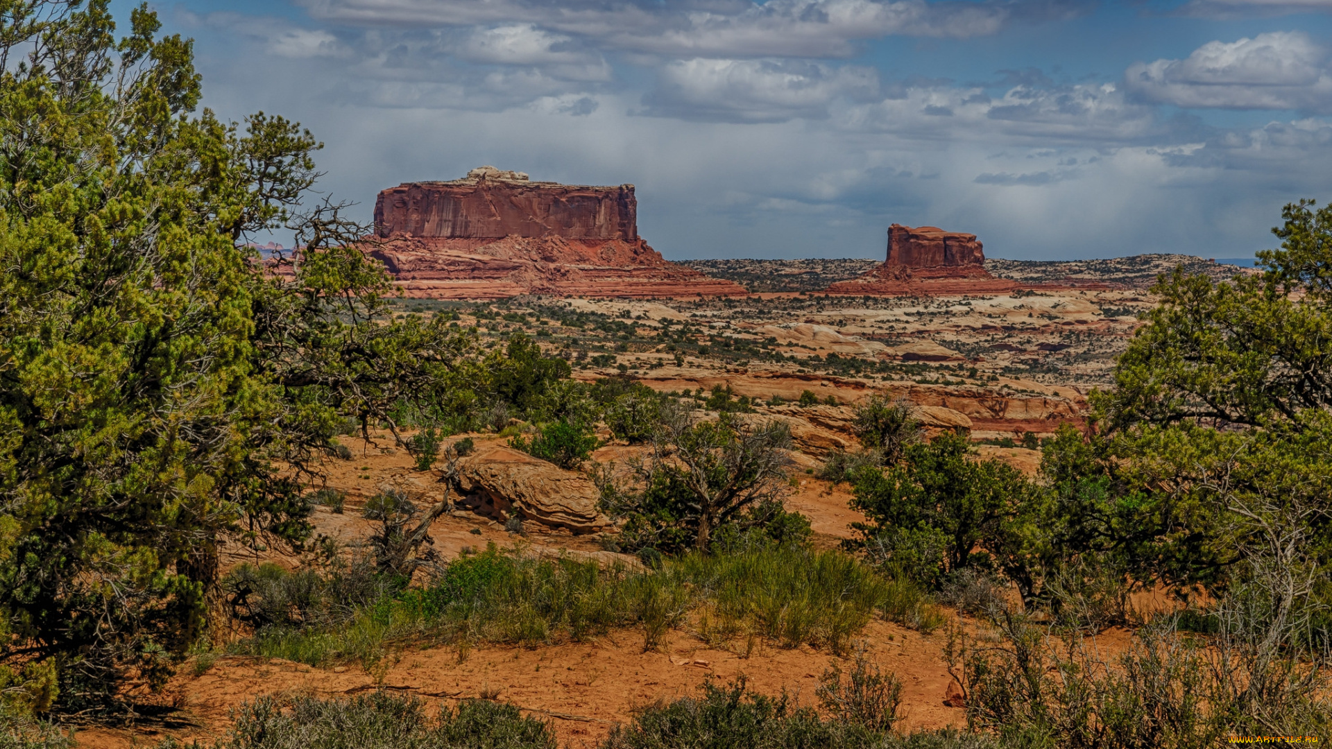 природа, пустыни, растительность, скалы, равнина