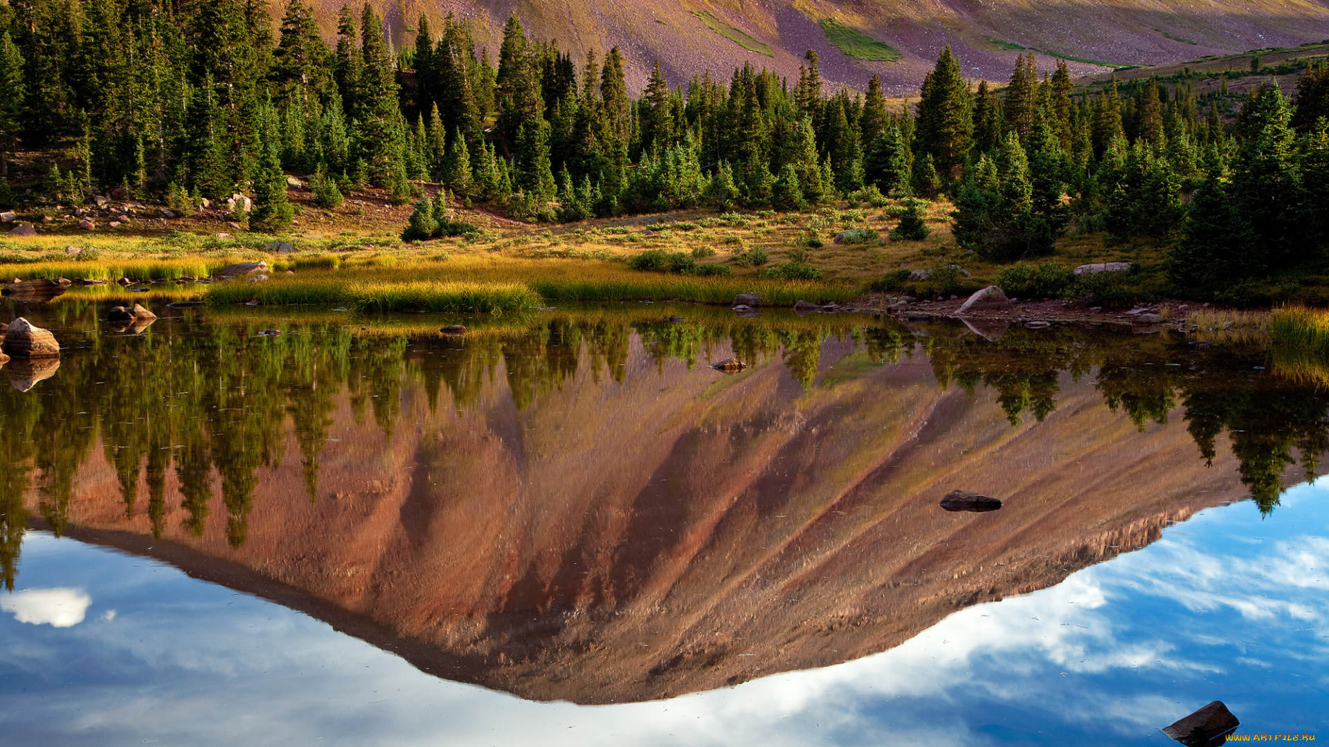 природа, реки, озера, горы, лес, река