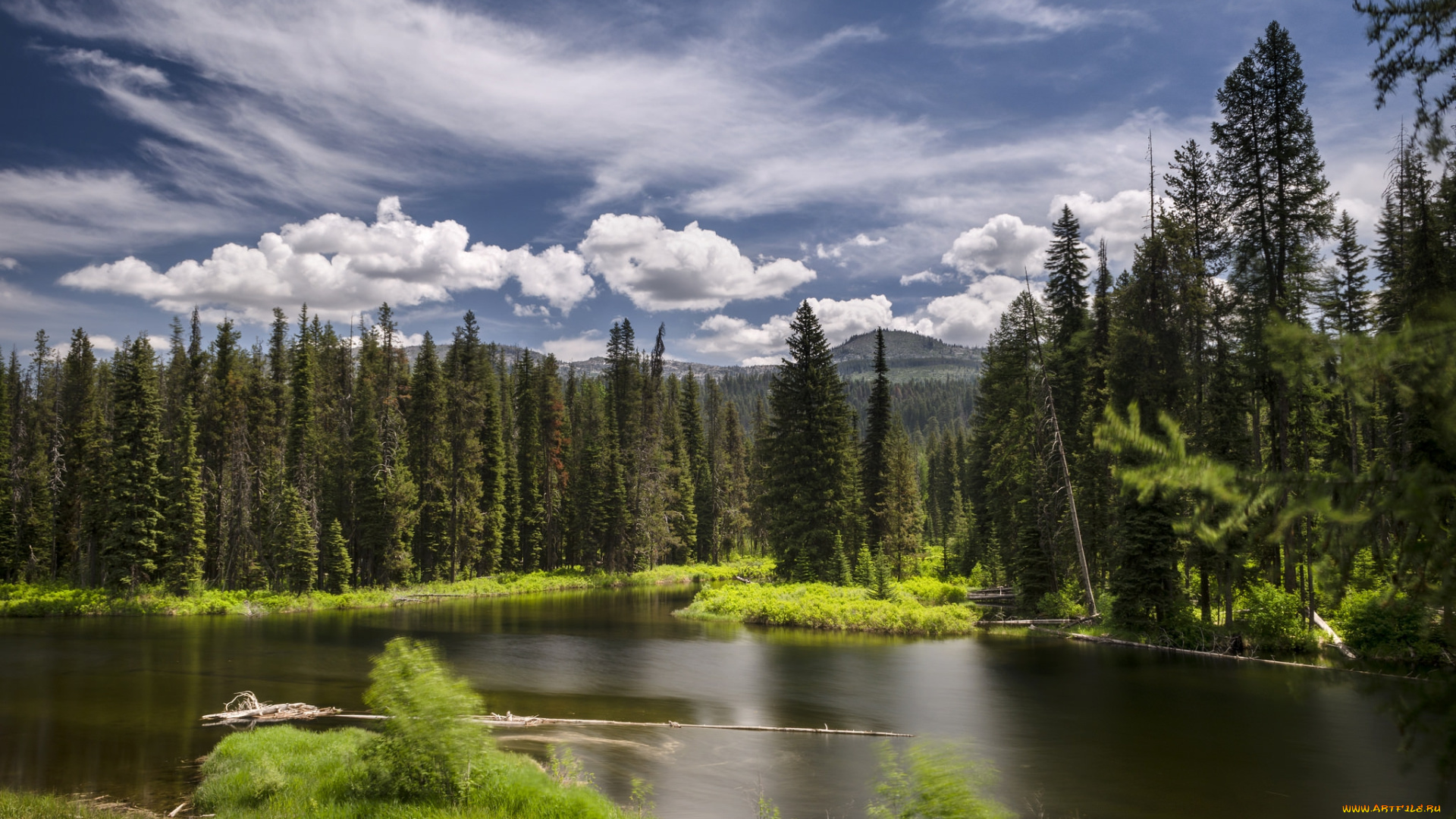 природа, реки, озера, горы, лес, река