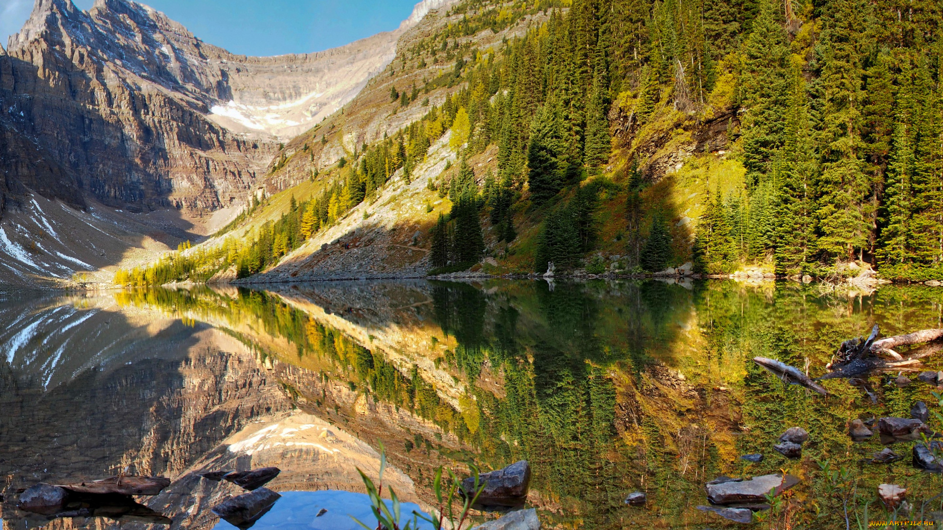 природа, реки, озера, канада, банф, озеро, лес, горы, деревья, берег, камни, коряги, вода, отражение