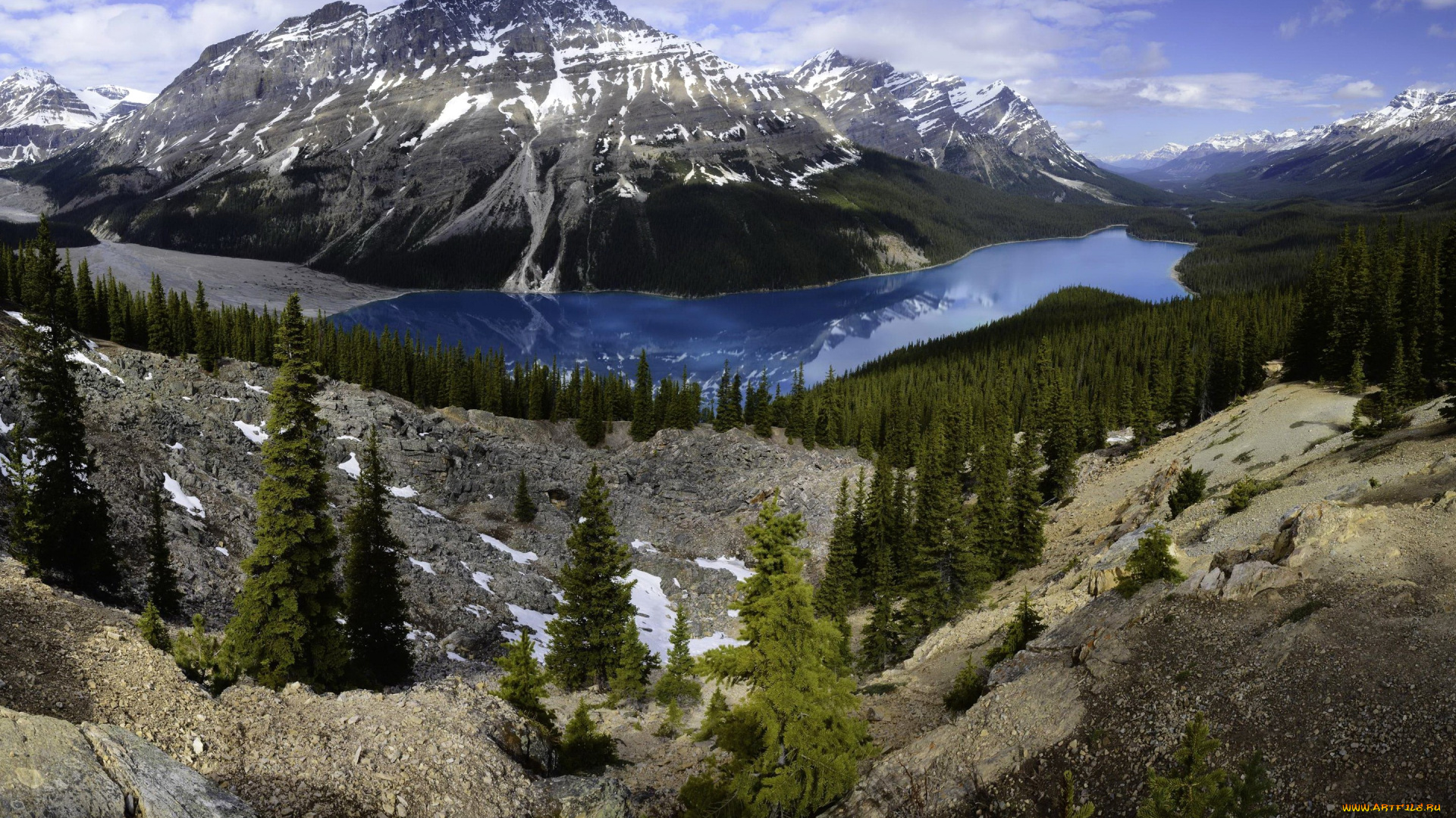 природа, реки, озера, канада, банф, peyto, lake, озеро, лес, горы, скалы, камни, деревья, панорама