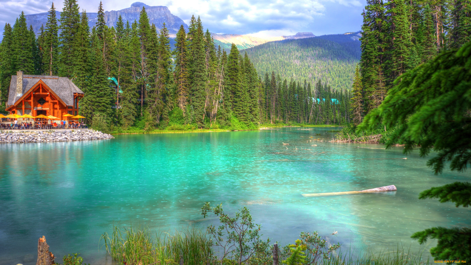 природа, реки, озера, лес, река