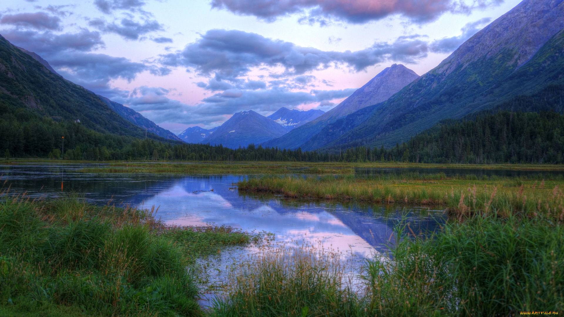 природа, реки, озера, лес, река