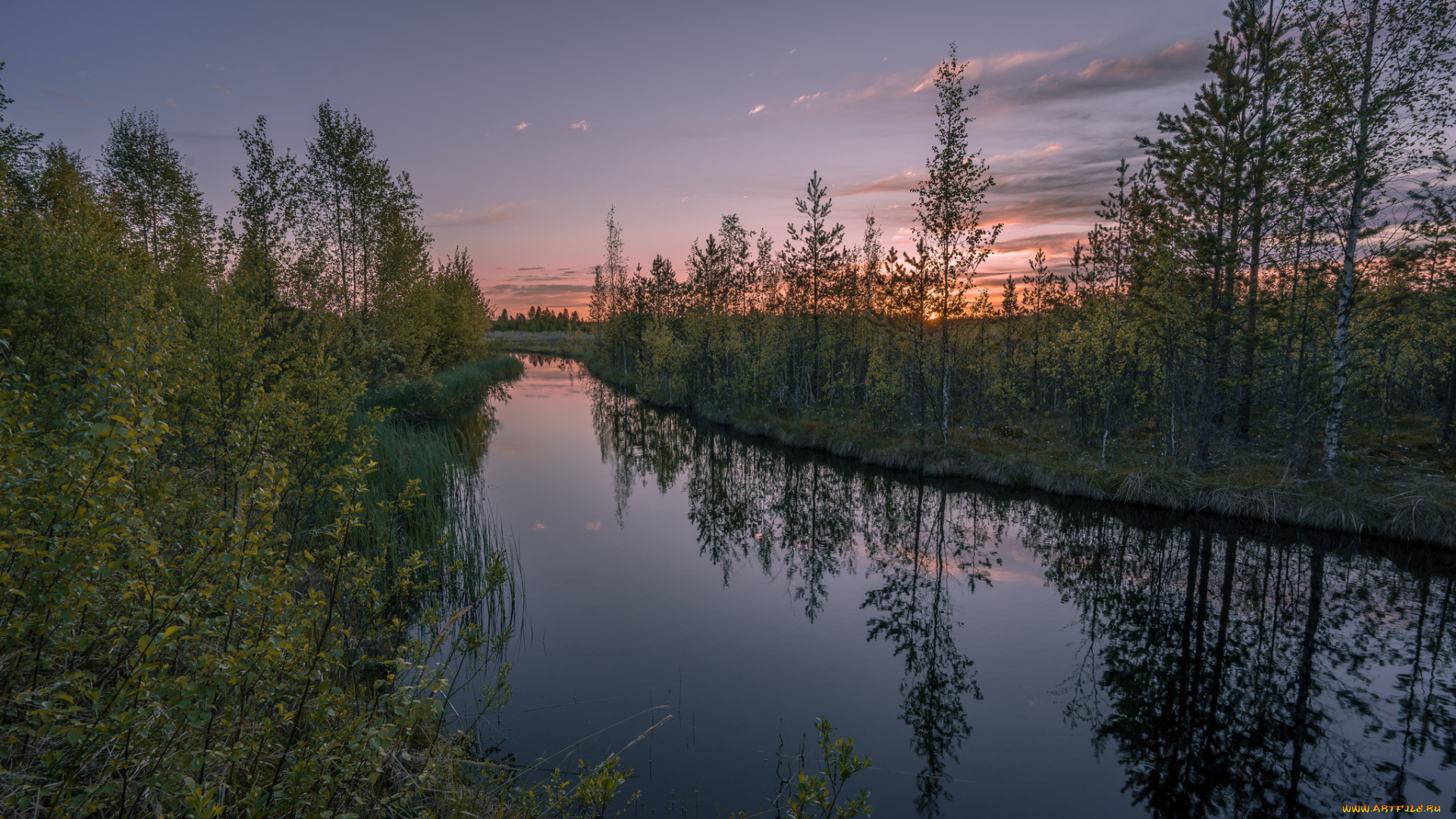 природа, реки, озера, лес, река