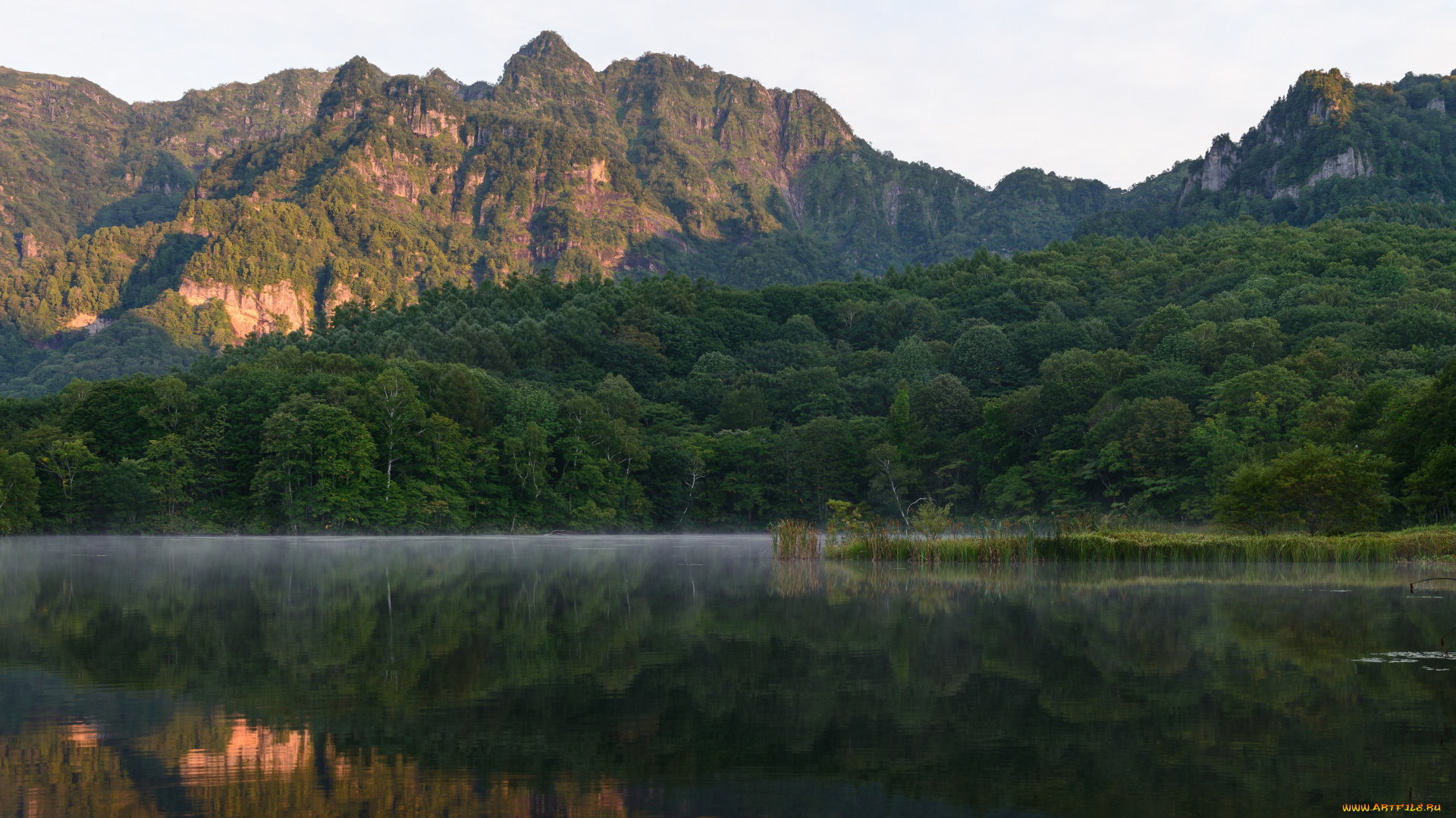 природа, реки, озера, лес, туман, утро, озеро