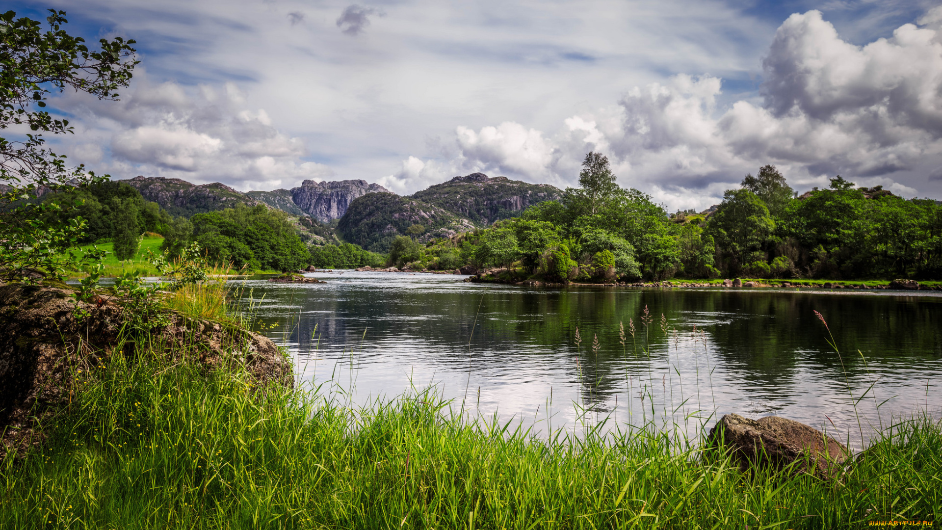 природа, реки, озера, река, лес