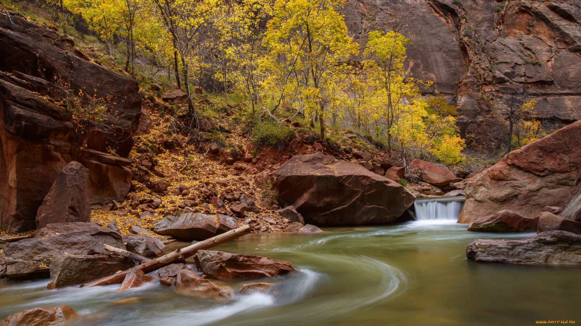 природа, реки, озера, zion, national, park, юта, сша, скалы, каньон, деревья, река, ручей, камни