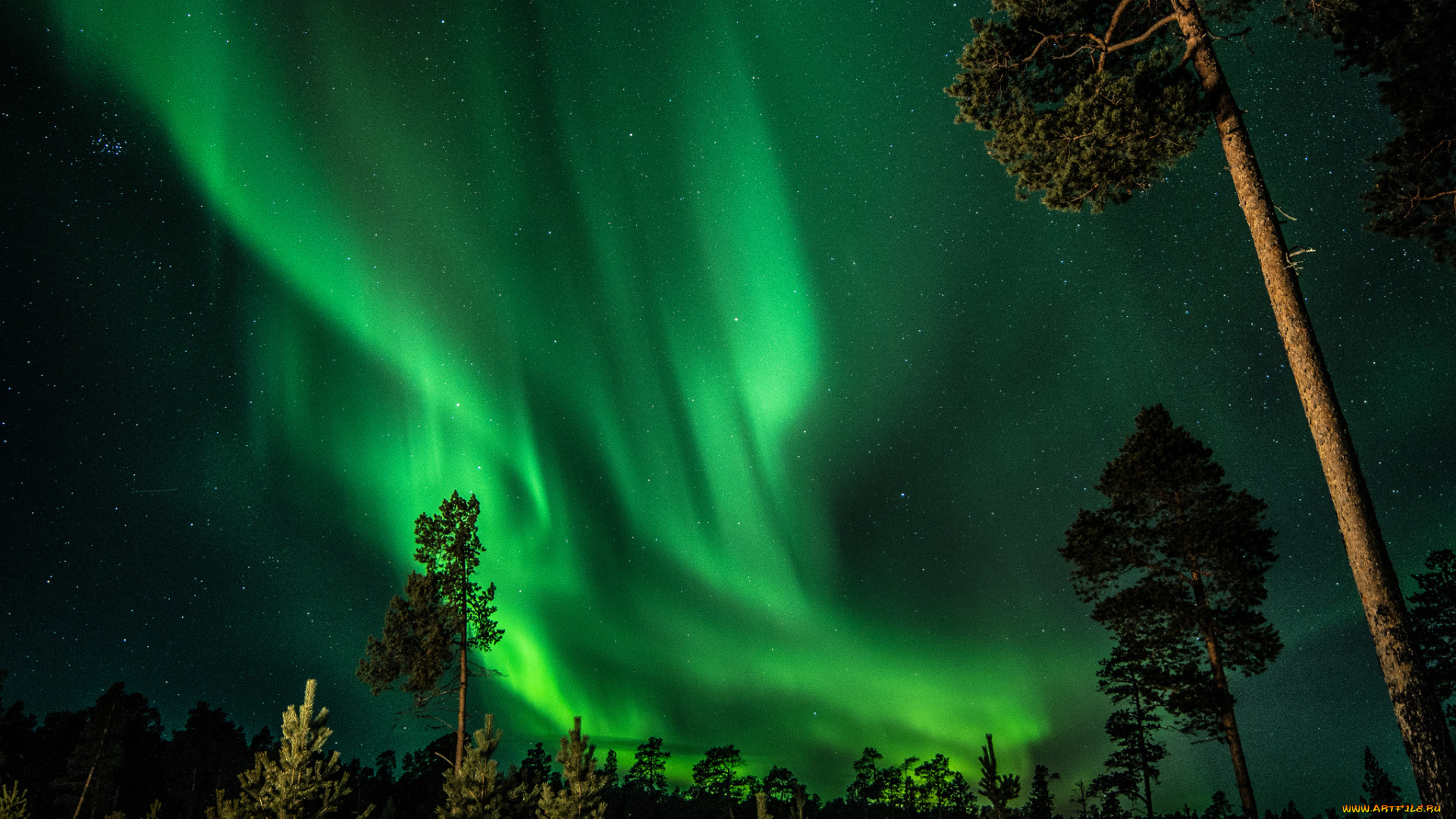 природа, северное, сияние, финляндия, ночь, небо, звезды, северное, сияние, лес, деревья