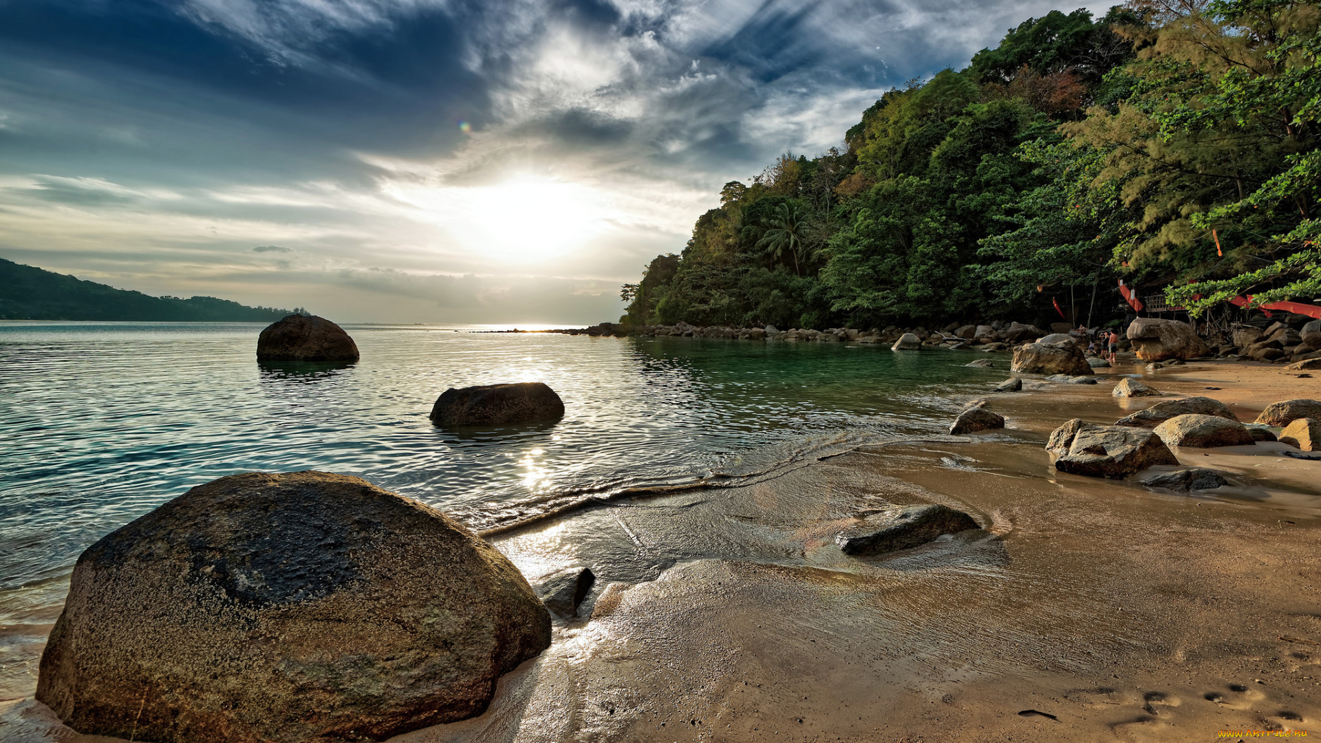 природа, тропики, пляж, лес