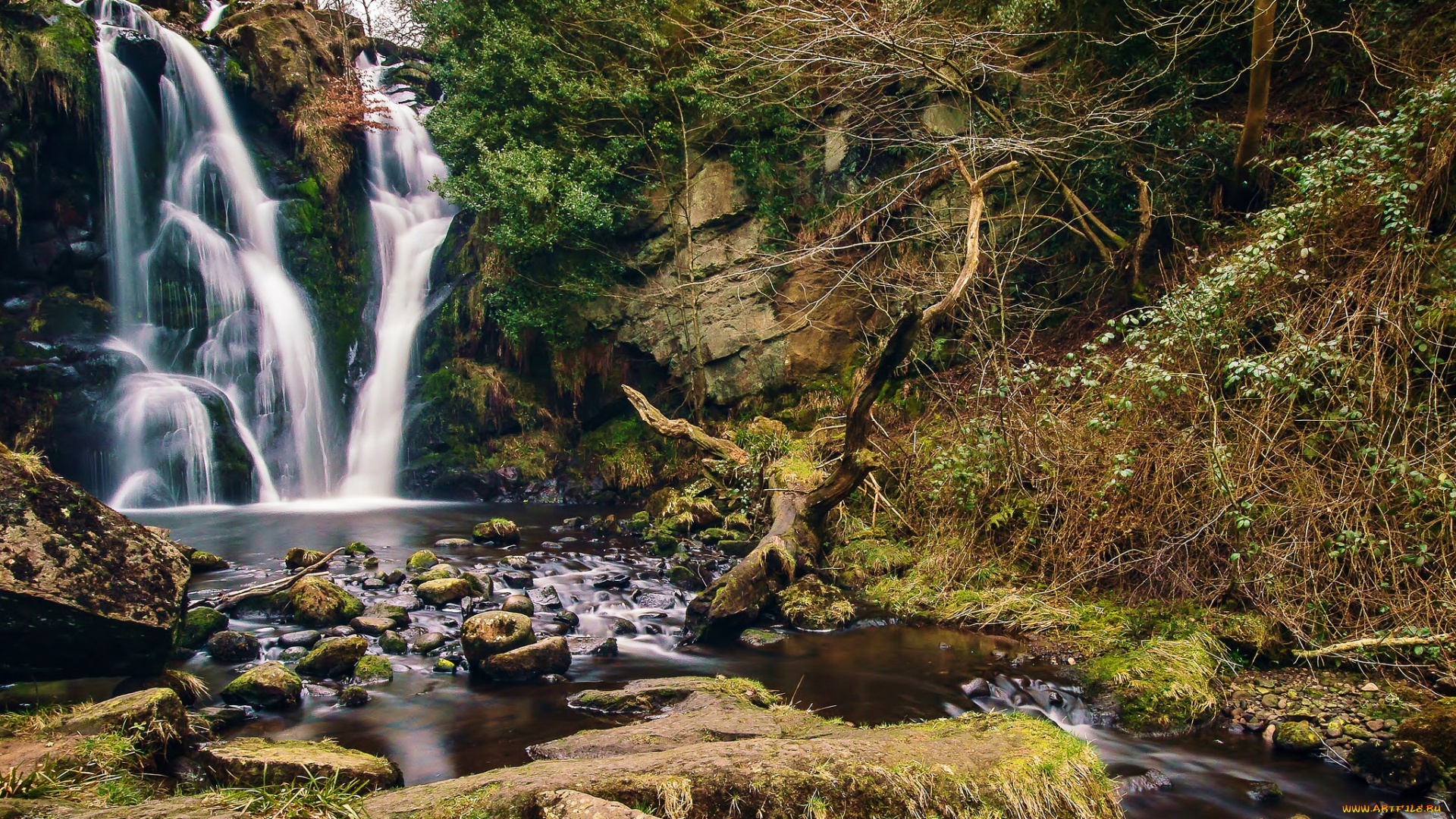 природа, водопады, лес, река, водопад