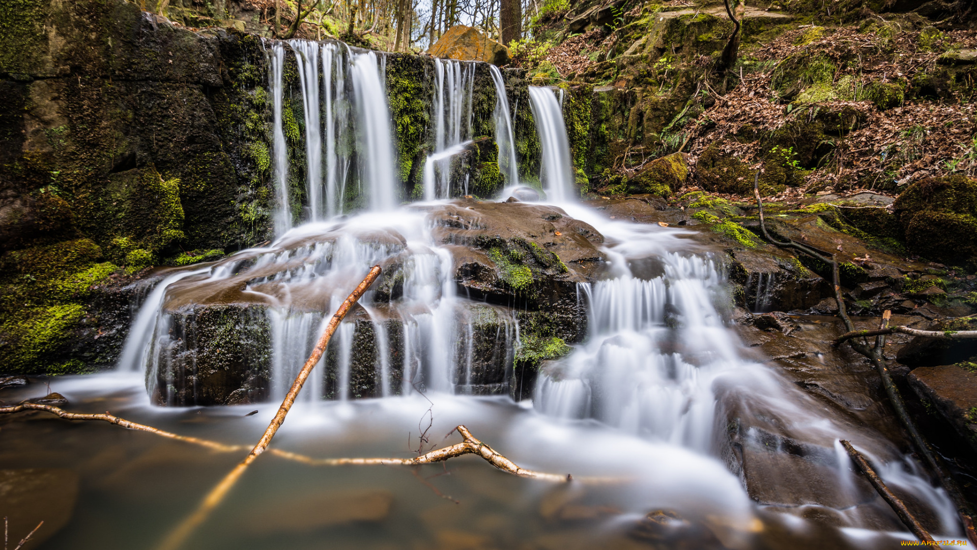 природа, водопады, лес, река, водопад