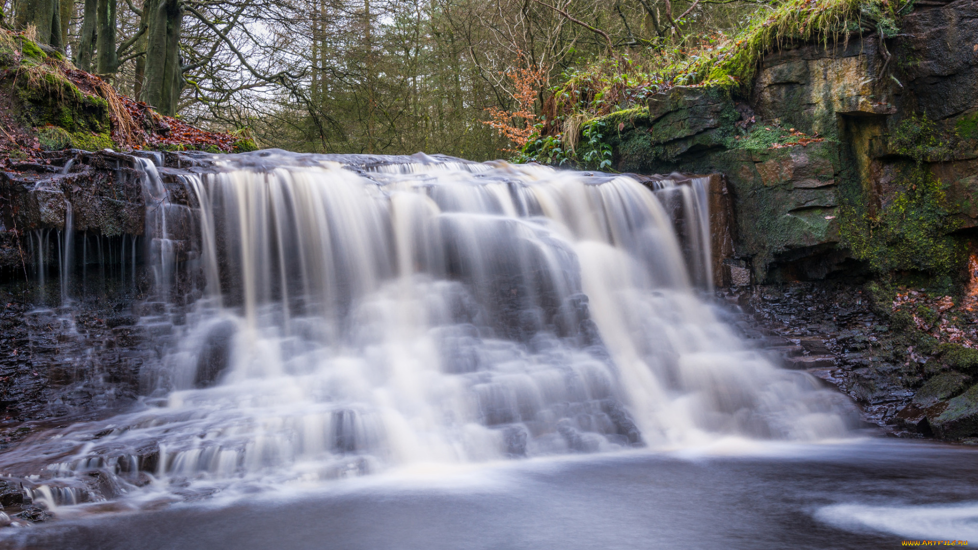 природа, водопады, лес, водопад, река