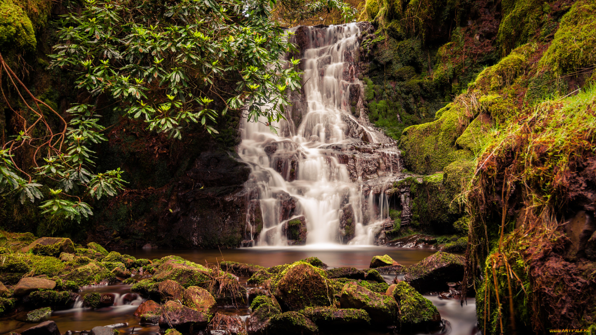 природа, водопады, река, лес, водопад