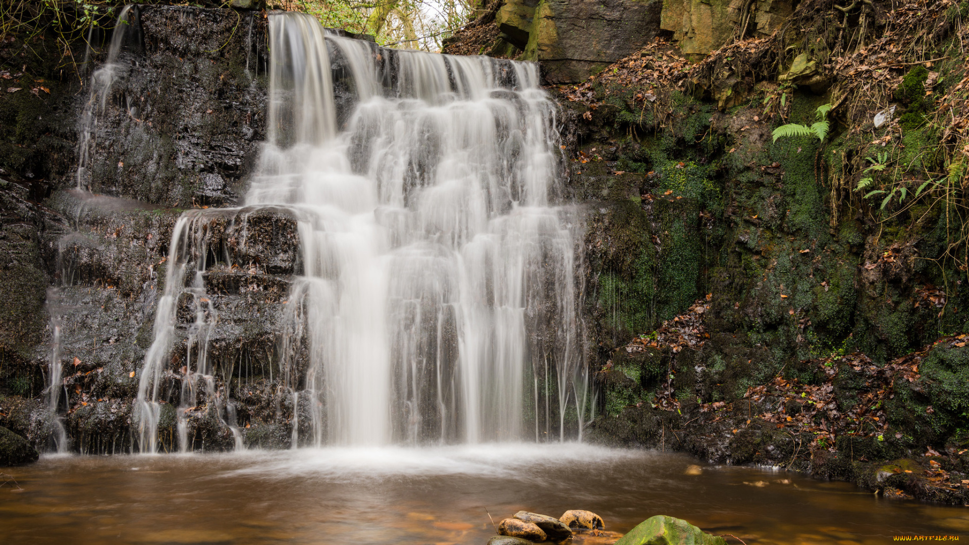природа, водопады, водопад, лес, река
