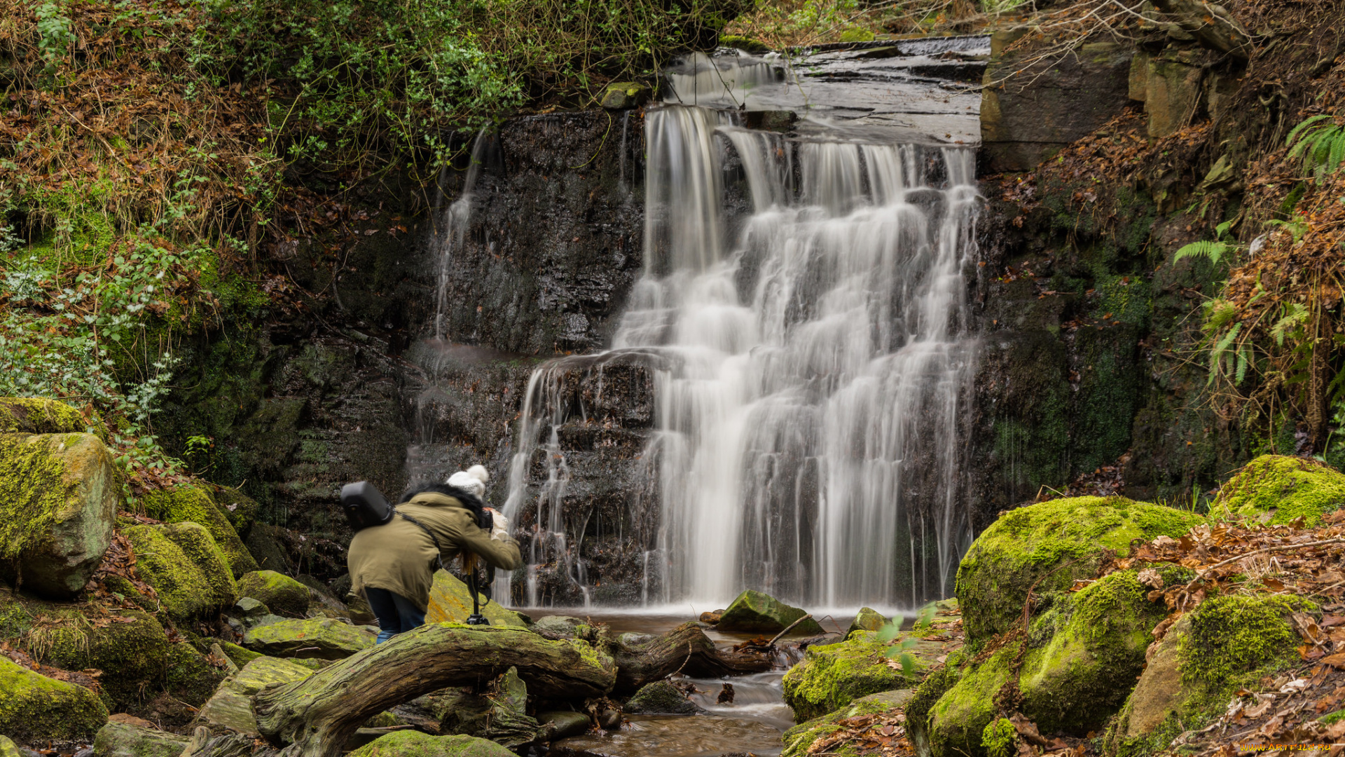 природа, водопады, водопад, река, лес