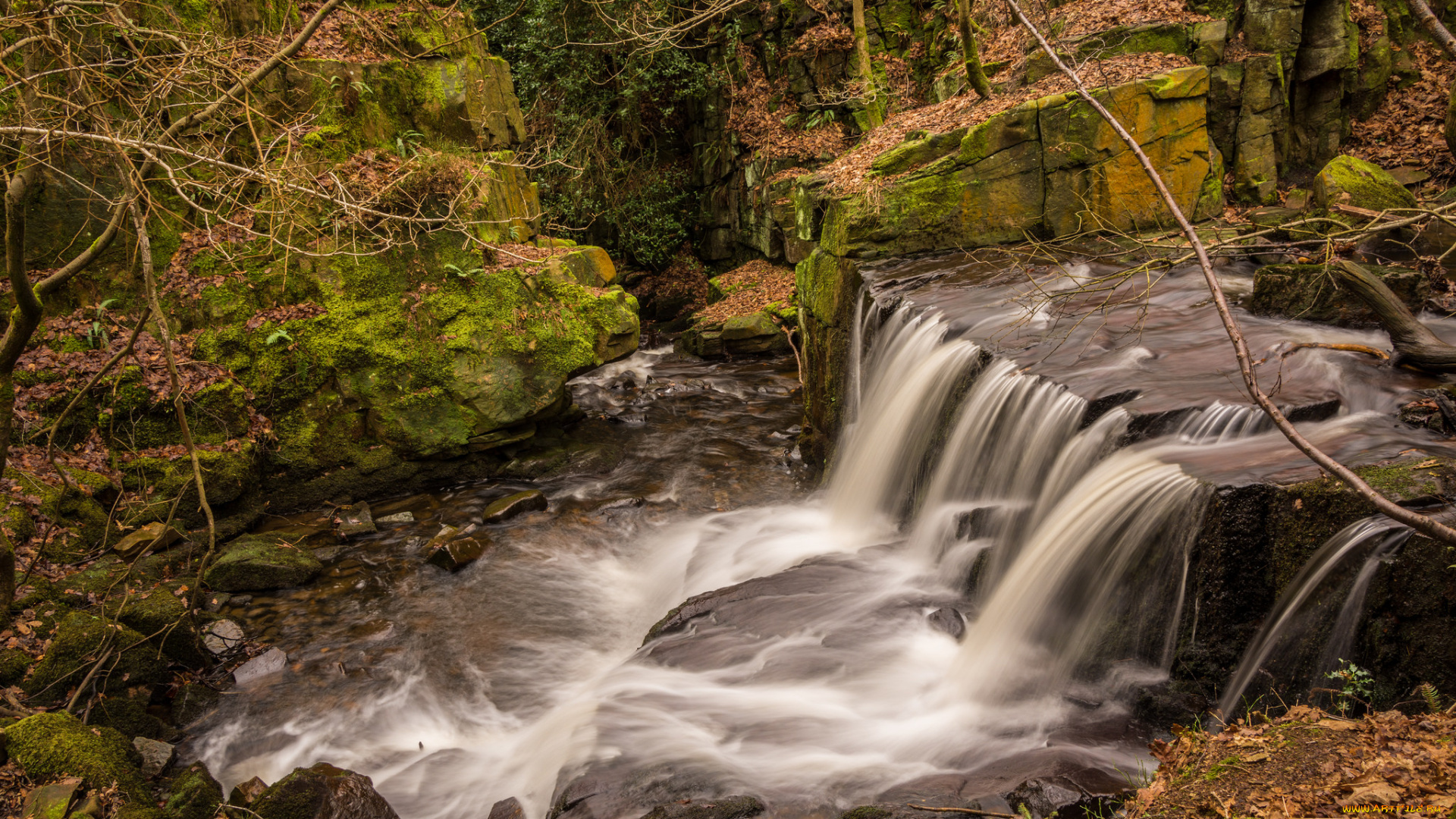 природа, водопады, водопад, река, лес