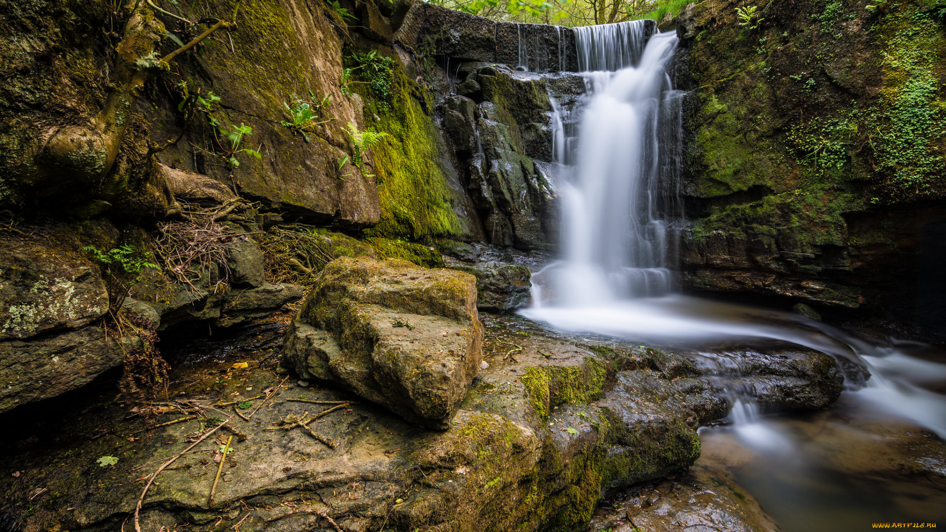 природа, водопады, водопад, река, лес
