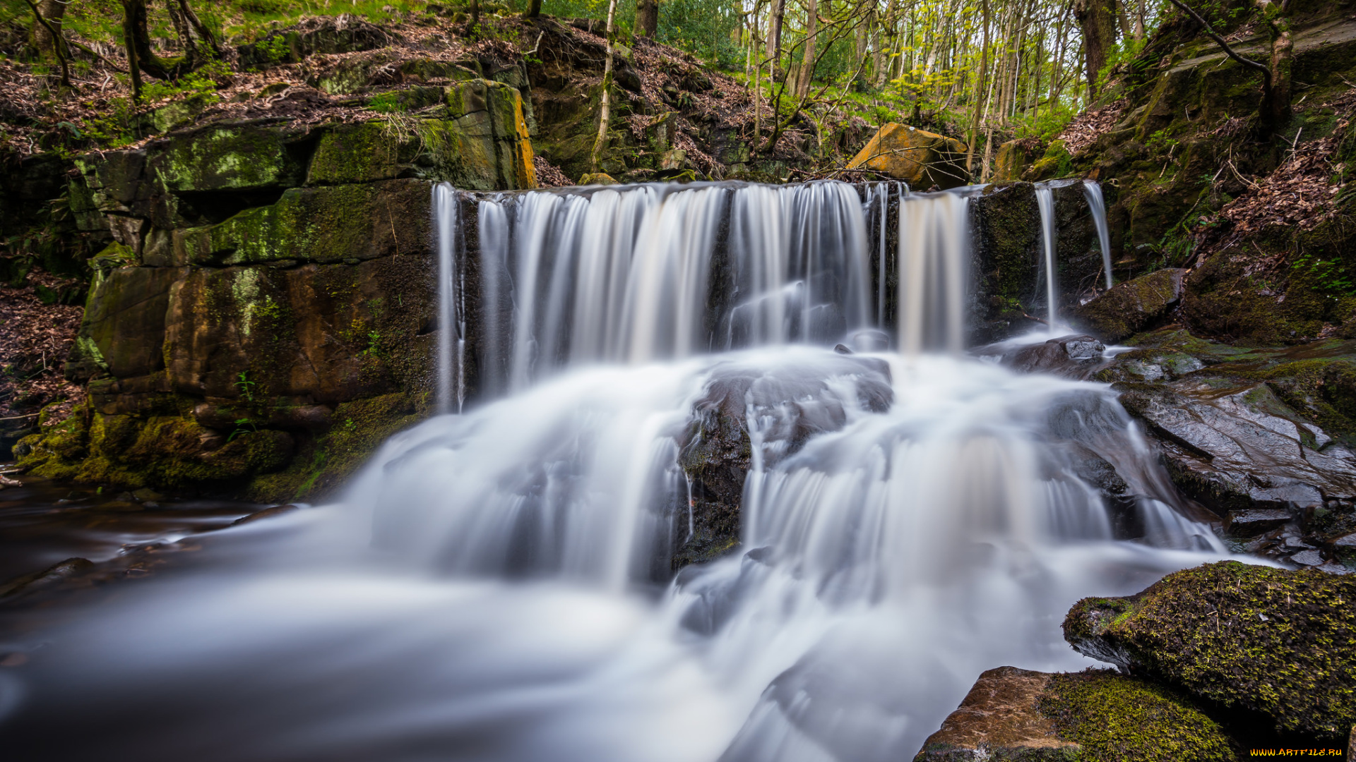 природа, водопады, водопад, река, лес