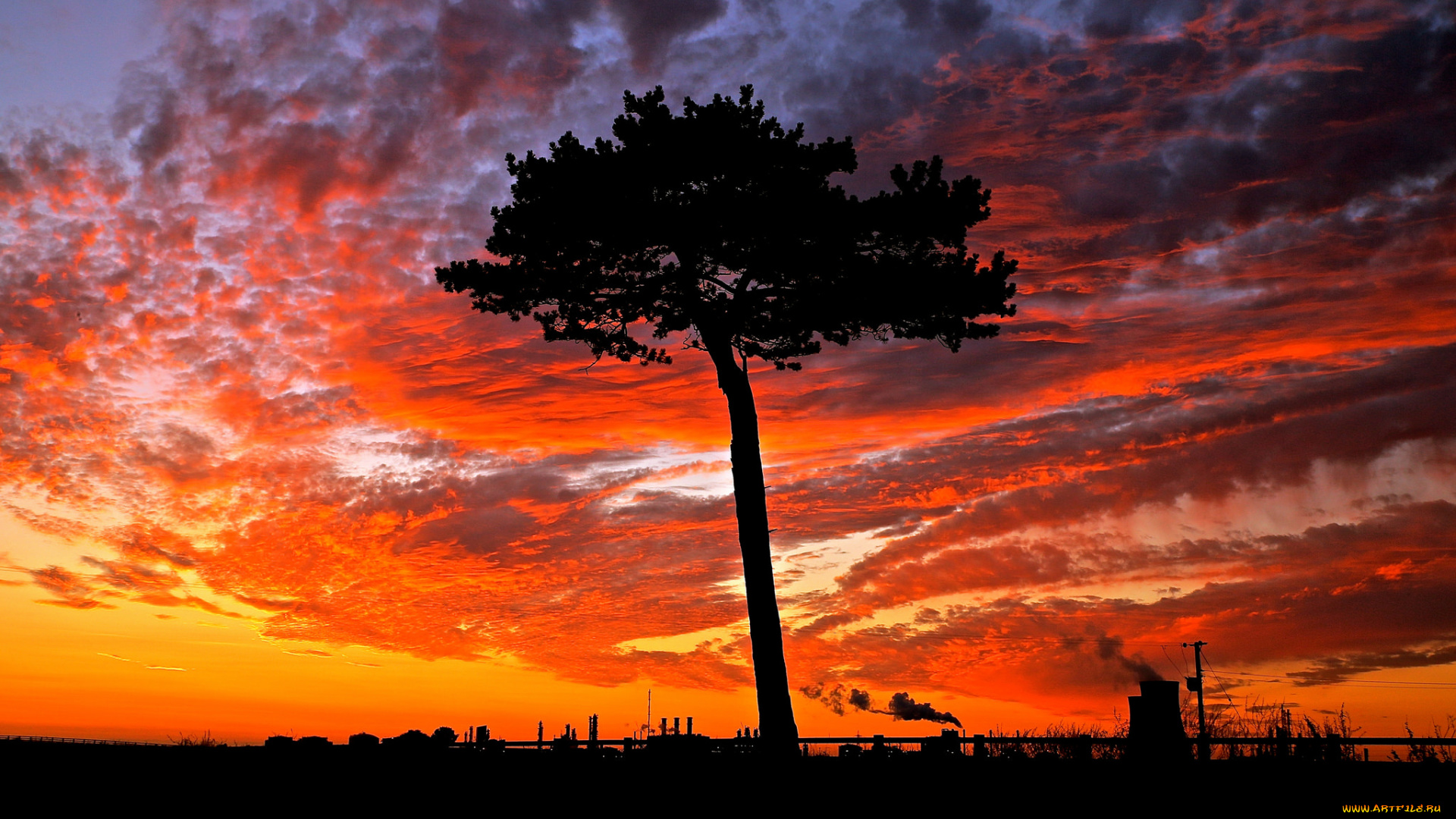 природа, восходы, закаты, небо, закат, дерево