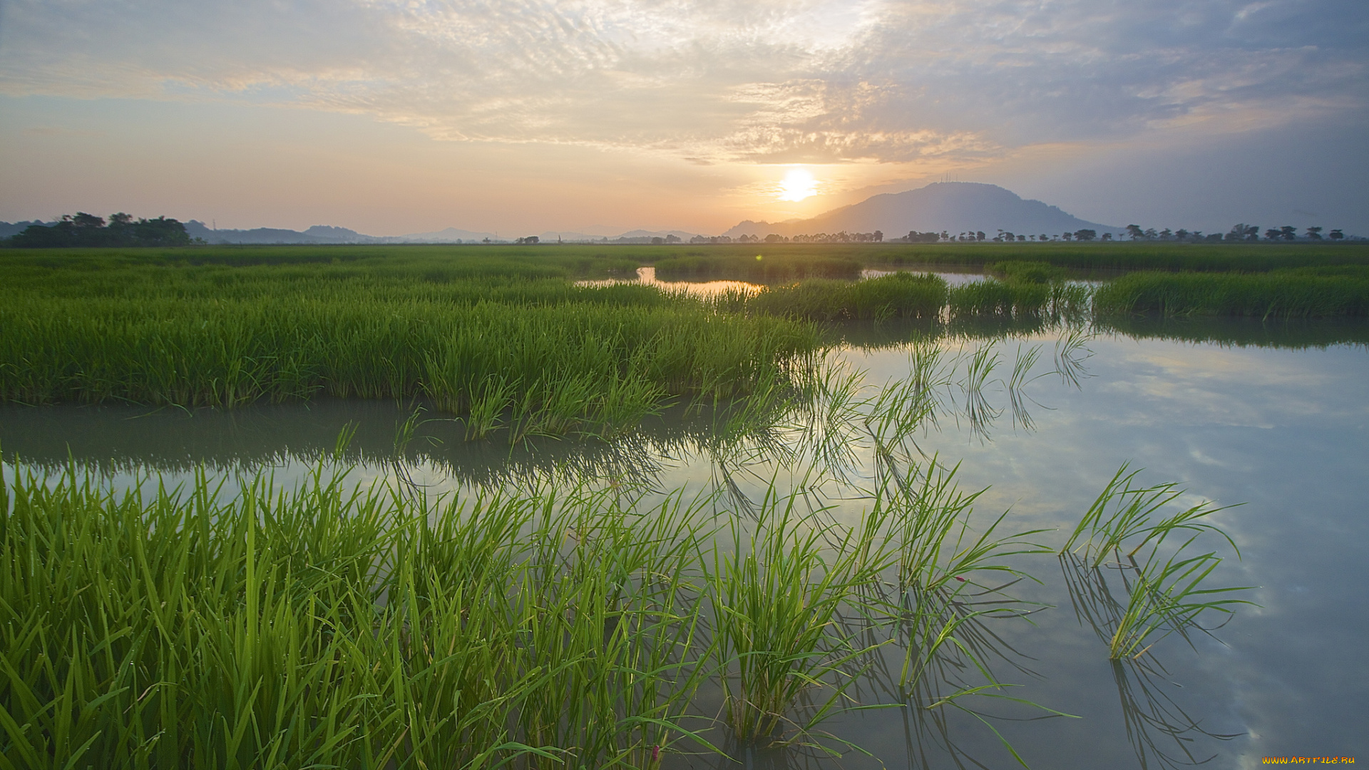 природа, восходы, закаты, рассвет