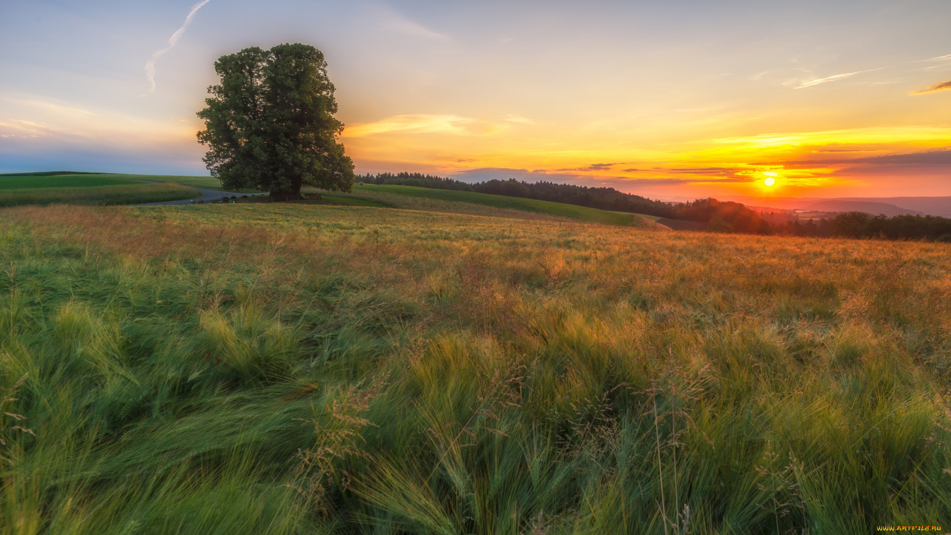 природа, восходы, закаты, рассвет