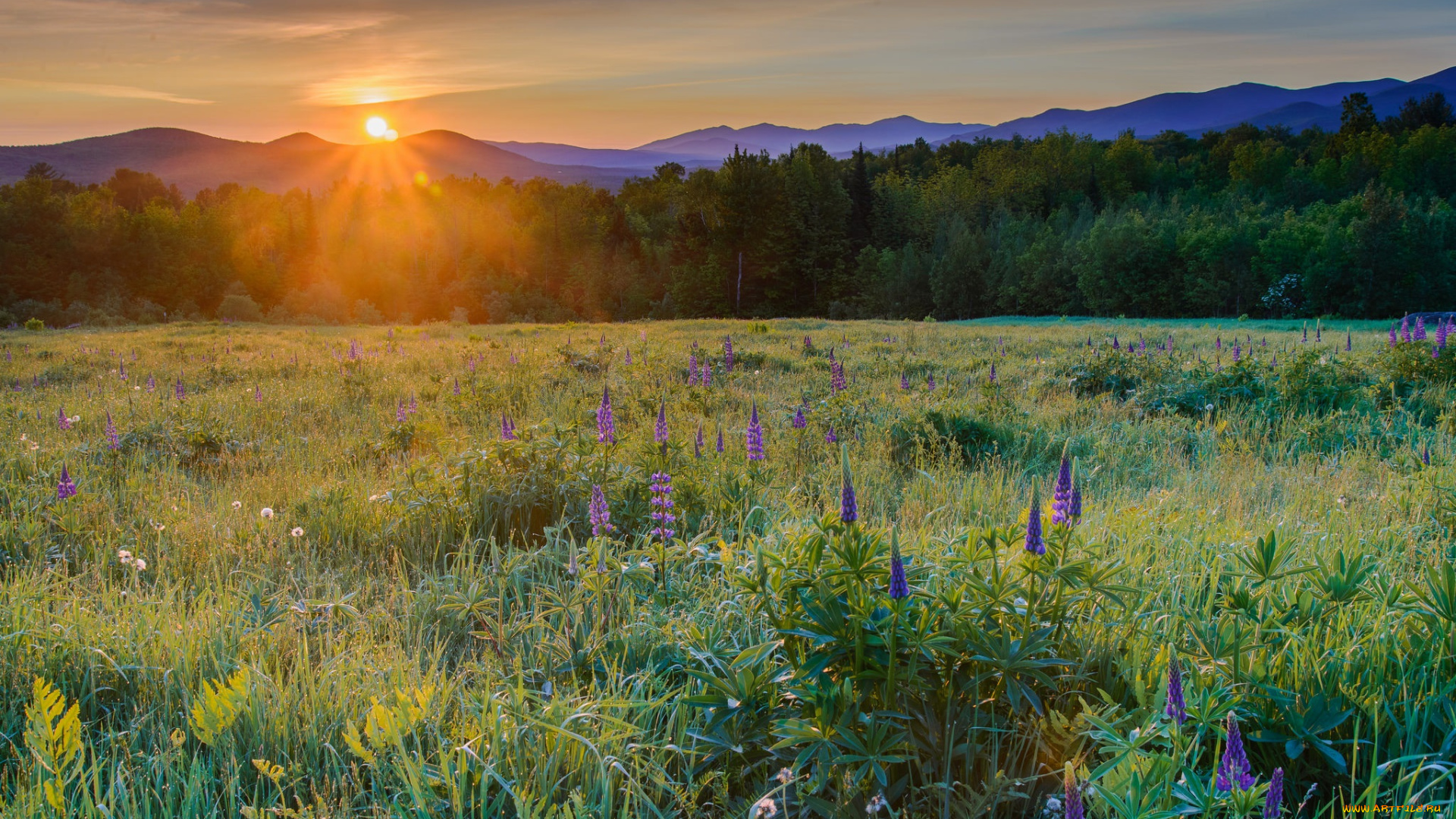 природа, восходы, закаты, рассвет